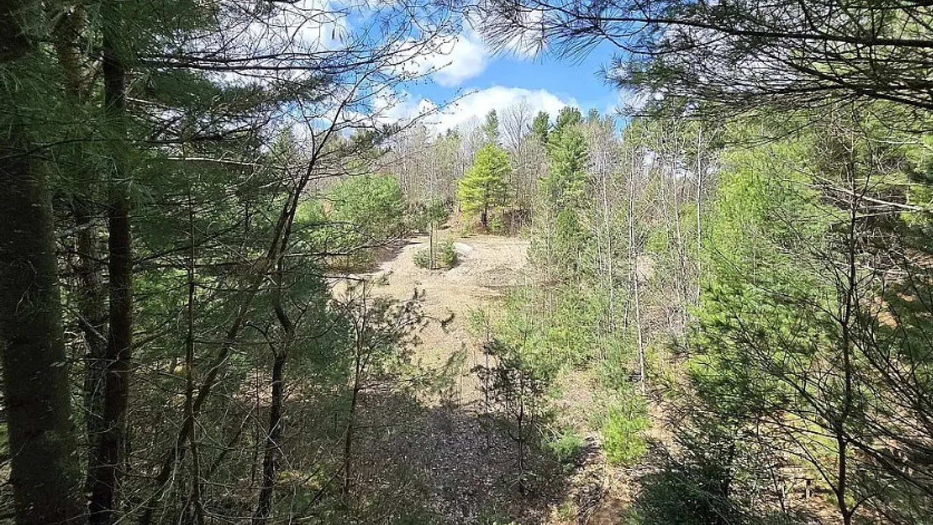 Property at 13612 Lewisburg Road, Diana, NY 13665 11