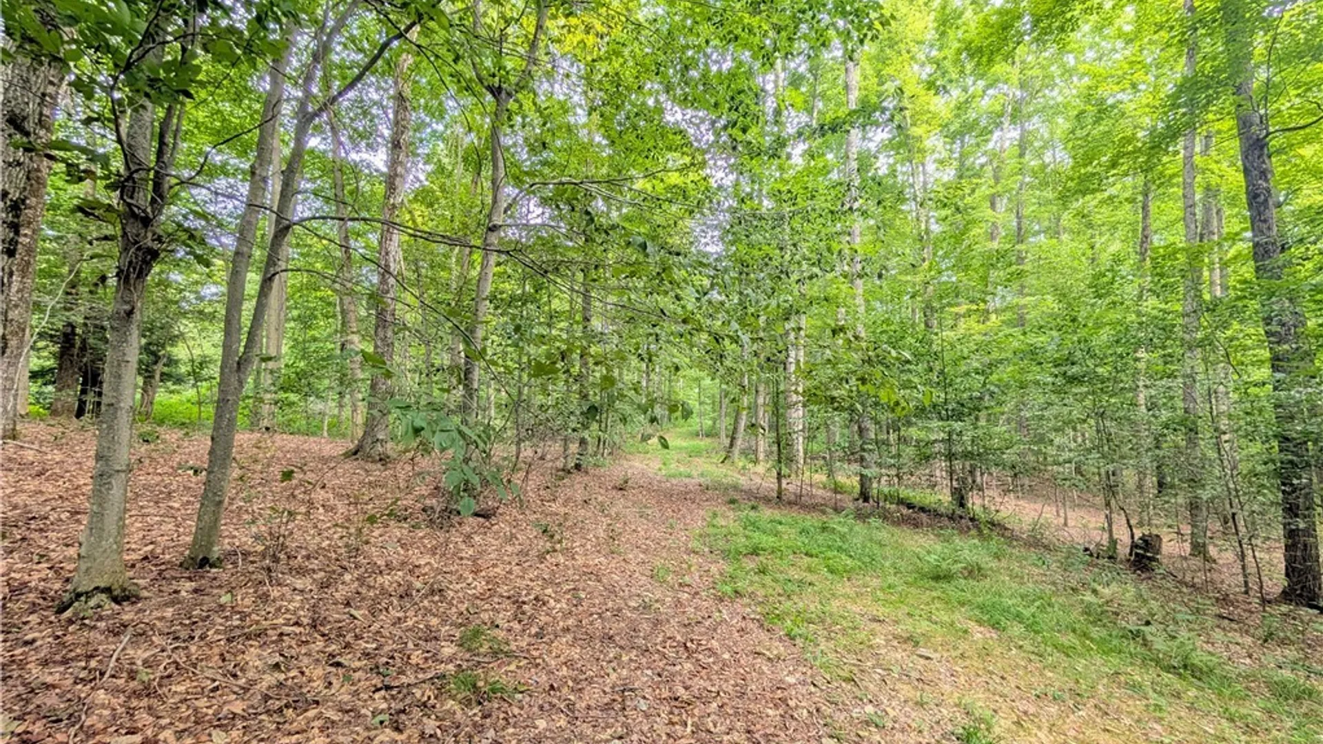 Property at 1179 Rt-221, Harford, NY 13784 37