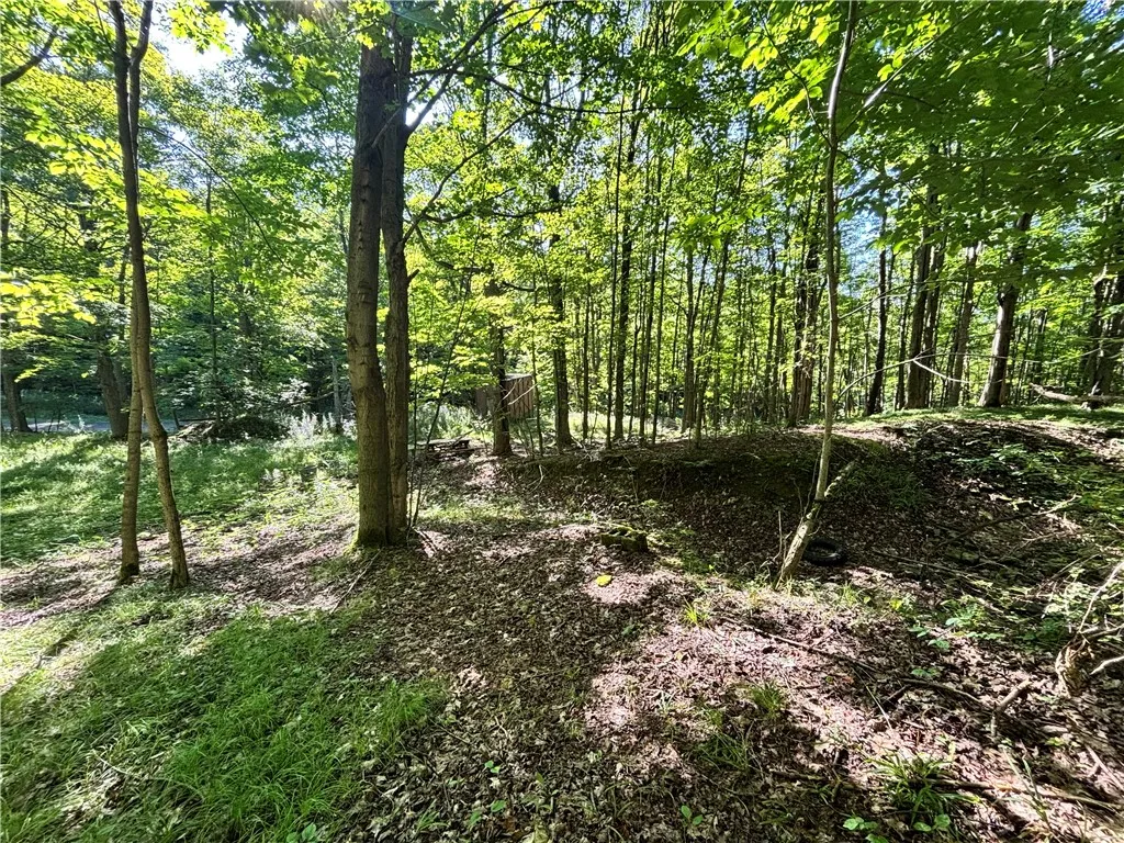 Property at 6952 Canadice Hill Road, Canadice, NY 14560