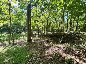 Property at 6952 Canadice Hill Road, Canadice, NY 14560
