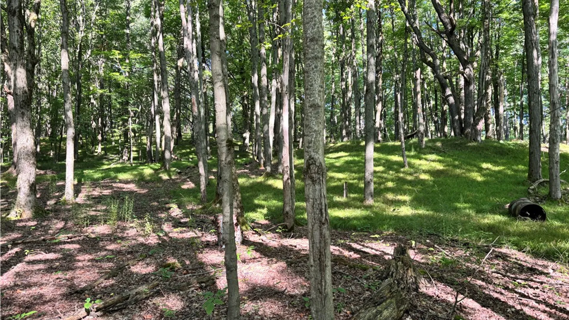 Property at 6952 Canadice Hill Road, Canadice, NY 14560 3