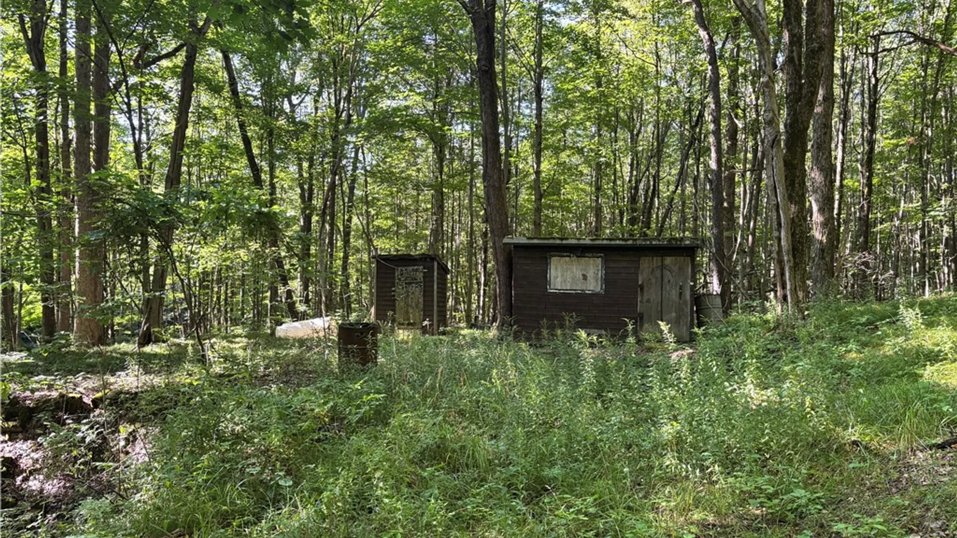 Property at 6952 Canadice Hill Road, Canadice, NY 14560 4