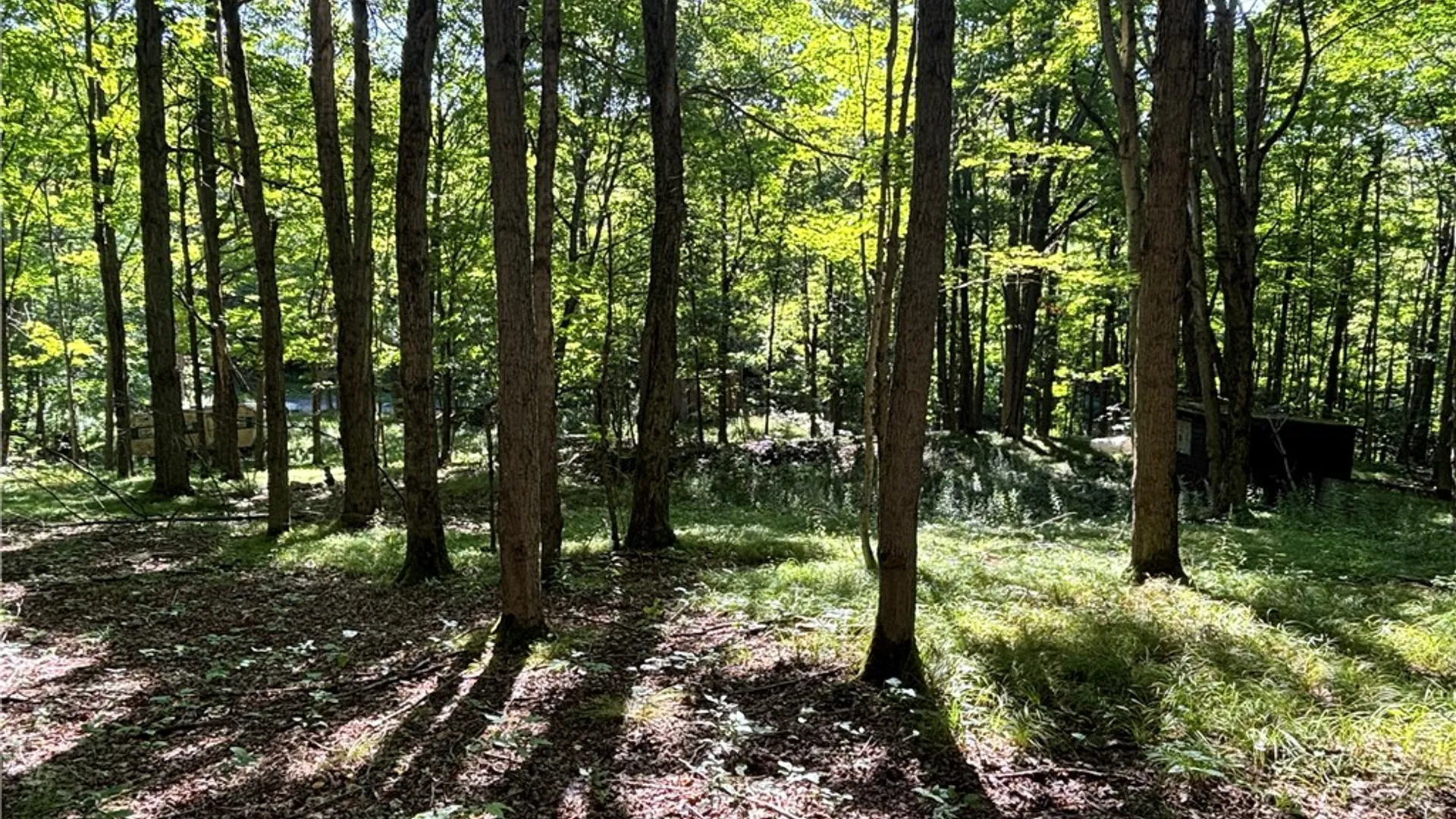 Property at 6952 Canadice Hill Road, Canadice, NY 14560 5