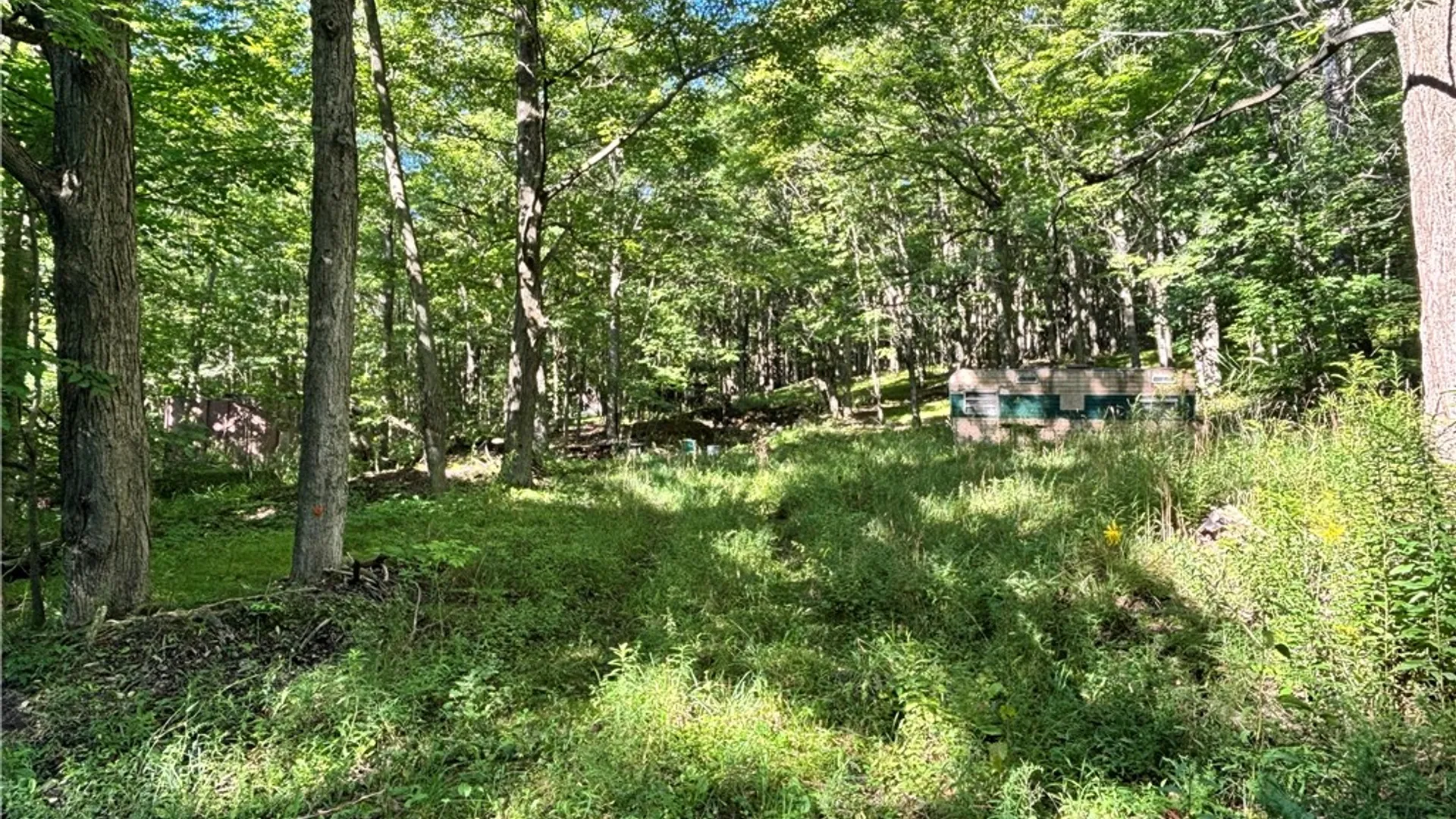 Property at 6952 Canadice Hill Road, Canadice, NY 14560 6