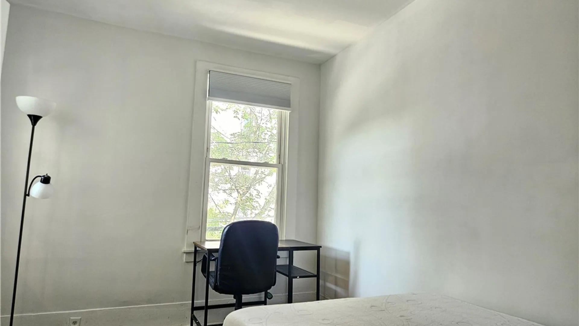 Property at 445 N Tioga Street, Ithaca City, NY 14850 3