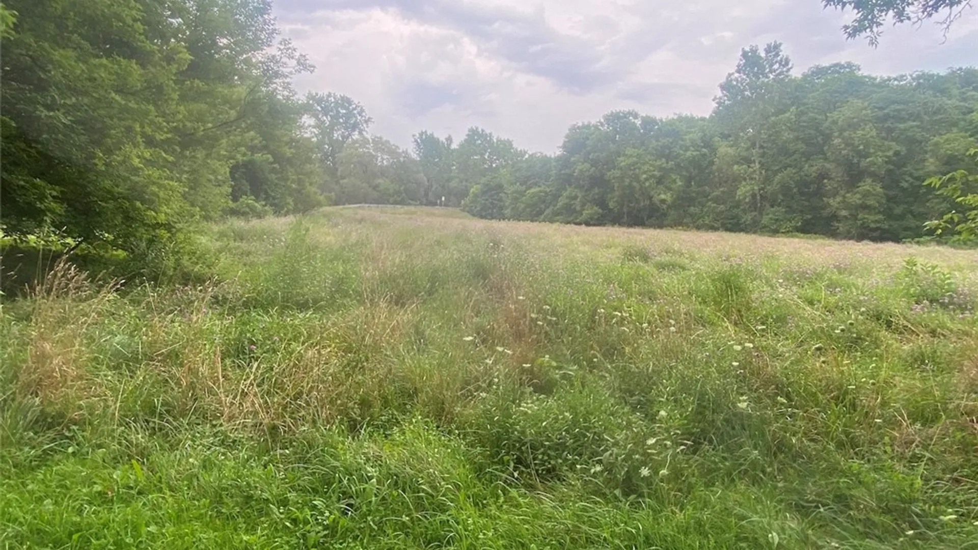Property at 7574 Main Street, Almond, NY 14804 17