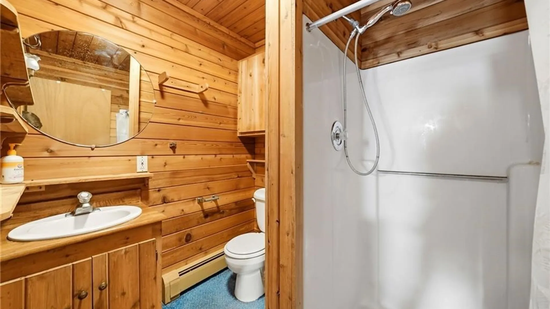 Property at 3 Maple Avenue, Elba, NY 14058 28