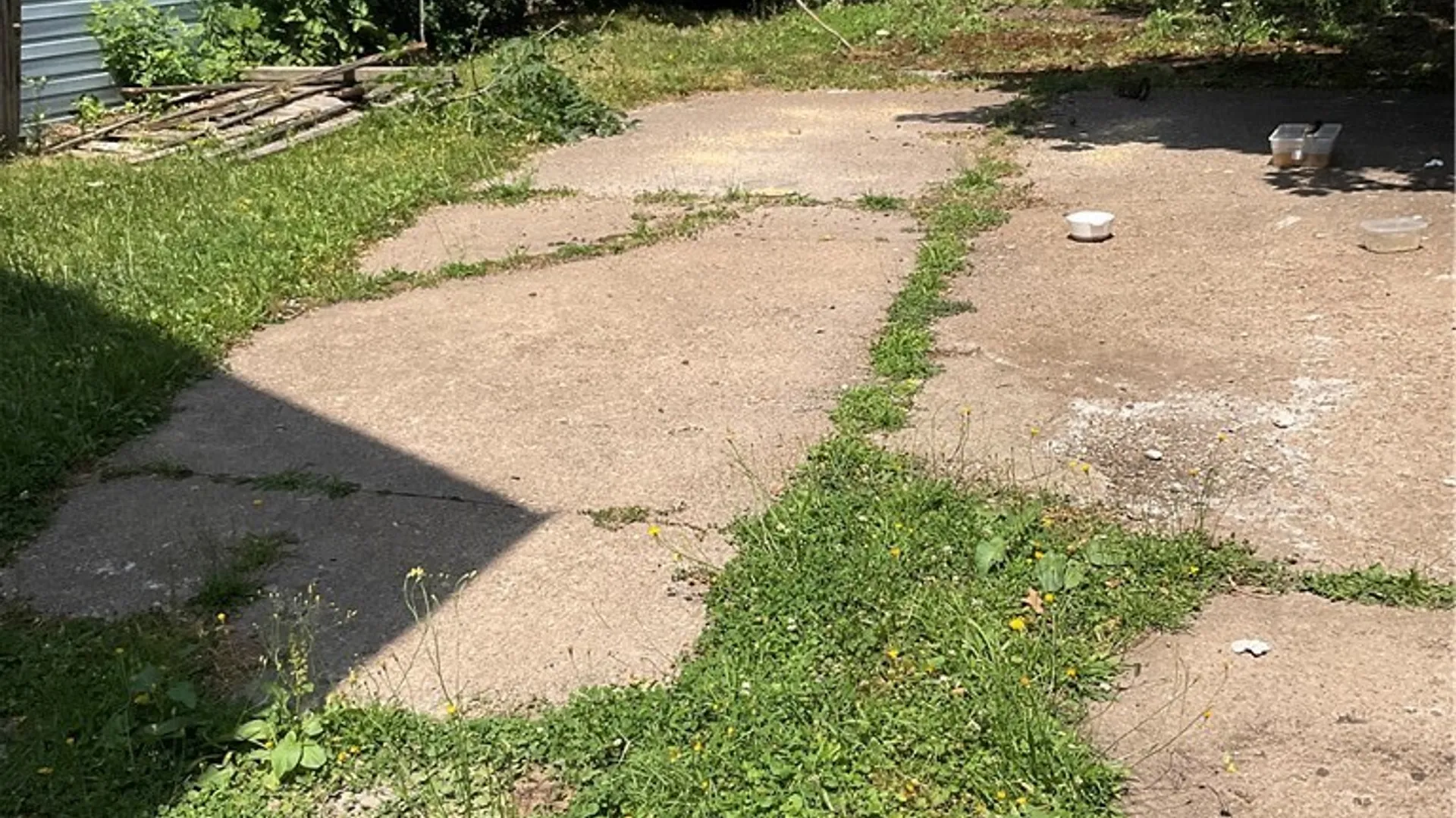 Property at 11 Eckhert Street, Buffalo, NY 14207 4