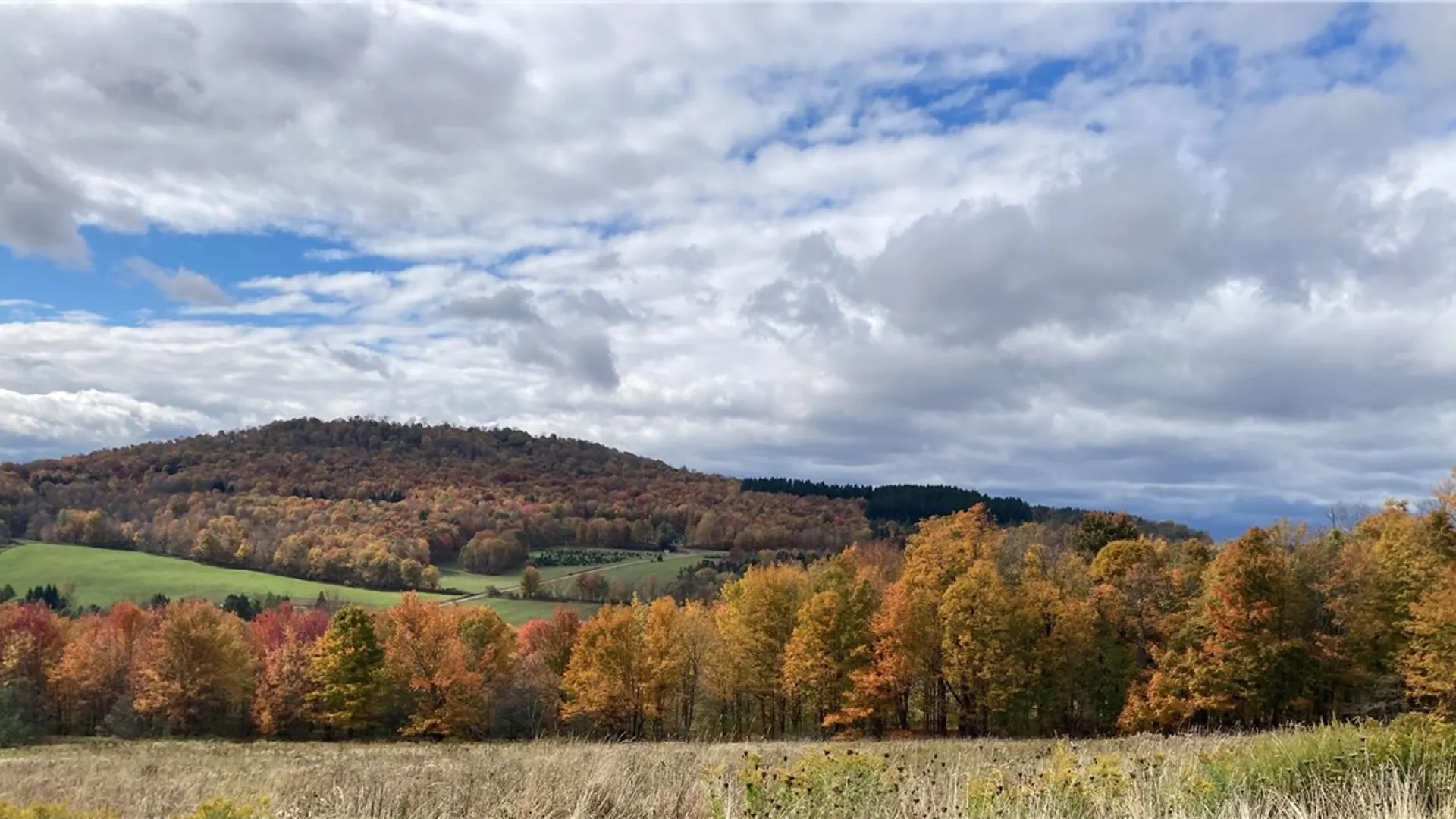 Property at 415 Ford Road, Bovina, NY 13740 39