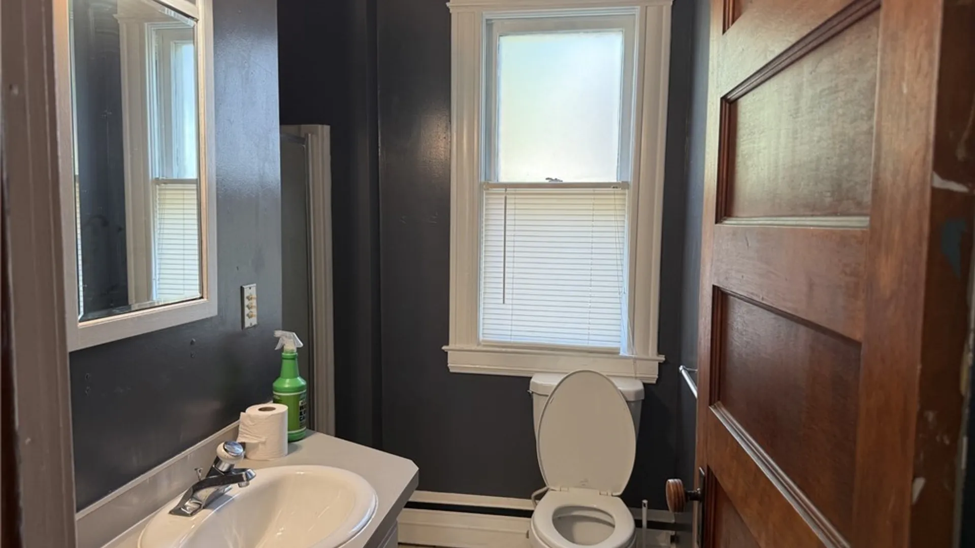 Property at 118 Chapel Street, Manlius, NY 13066 19