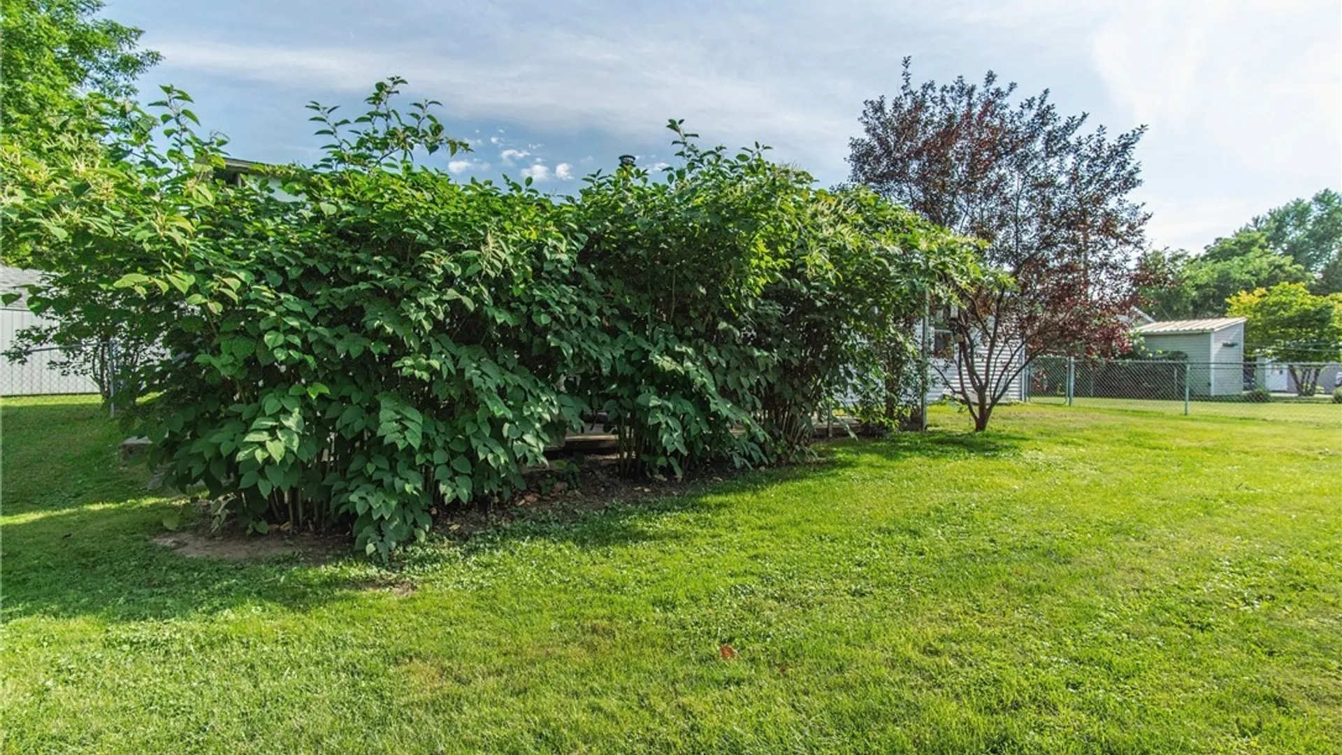 Property at 39 Saint Lawrence Avenue, Alexandria, NY 13607 26