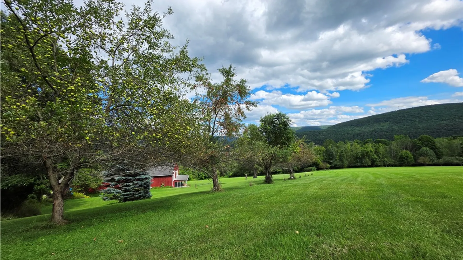 Property at 1988 Square Woods Drive, Canisteo, NY 14823 9
