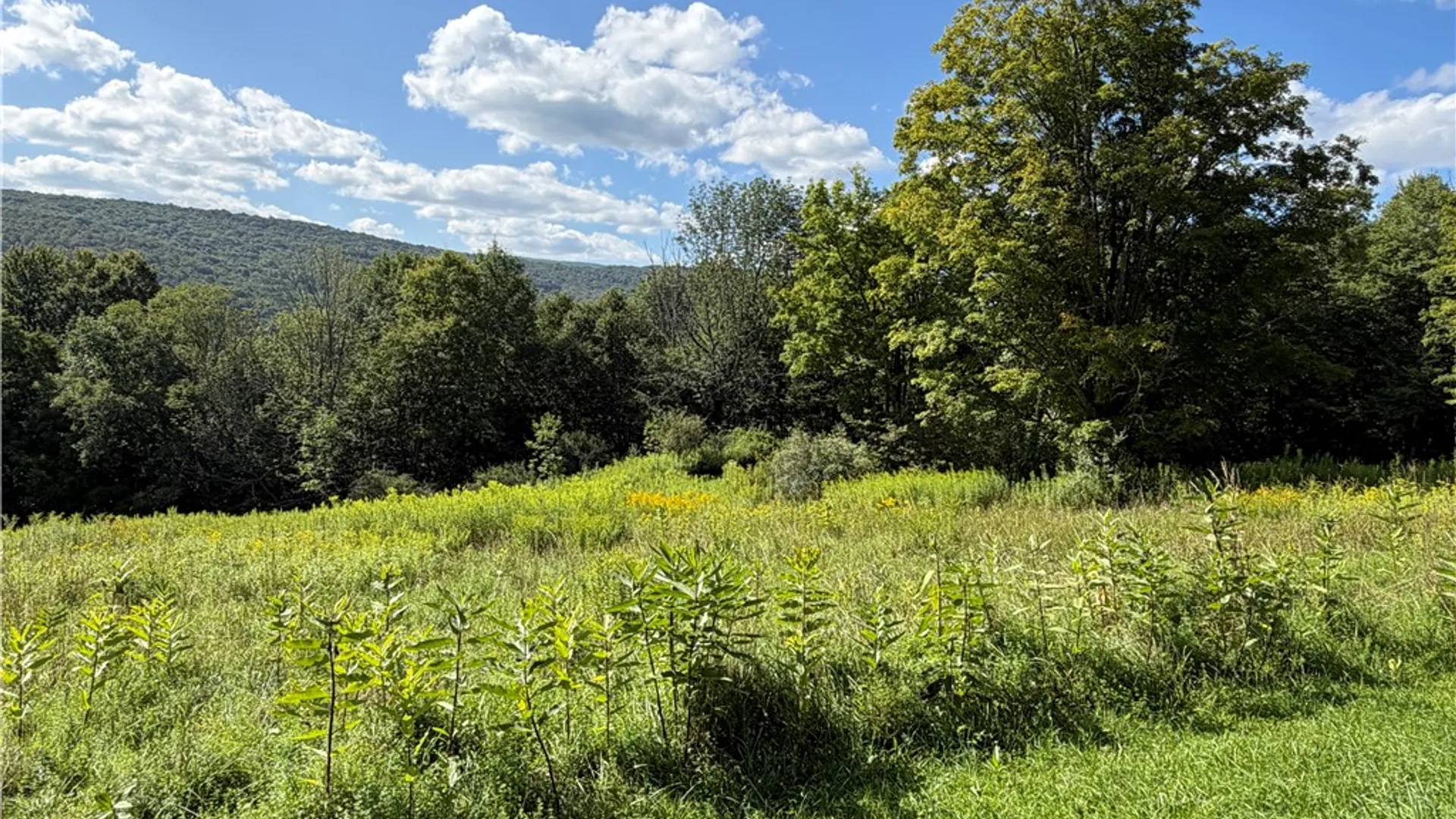 Property at Fiddlers Elbow Road, Middletown, NY 12455 7