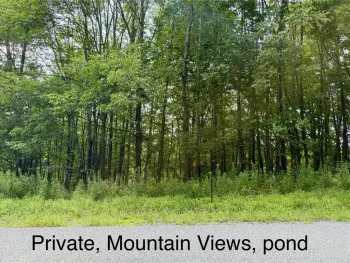 Property at Fiddlers Elbow Road, Middletown, NY 12455