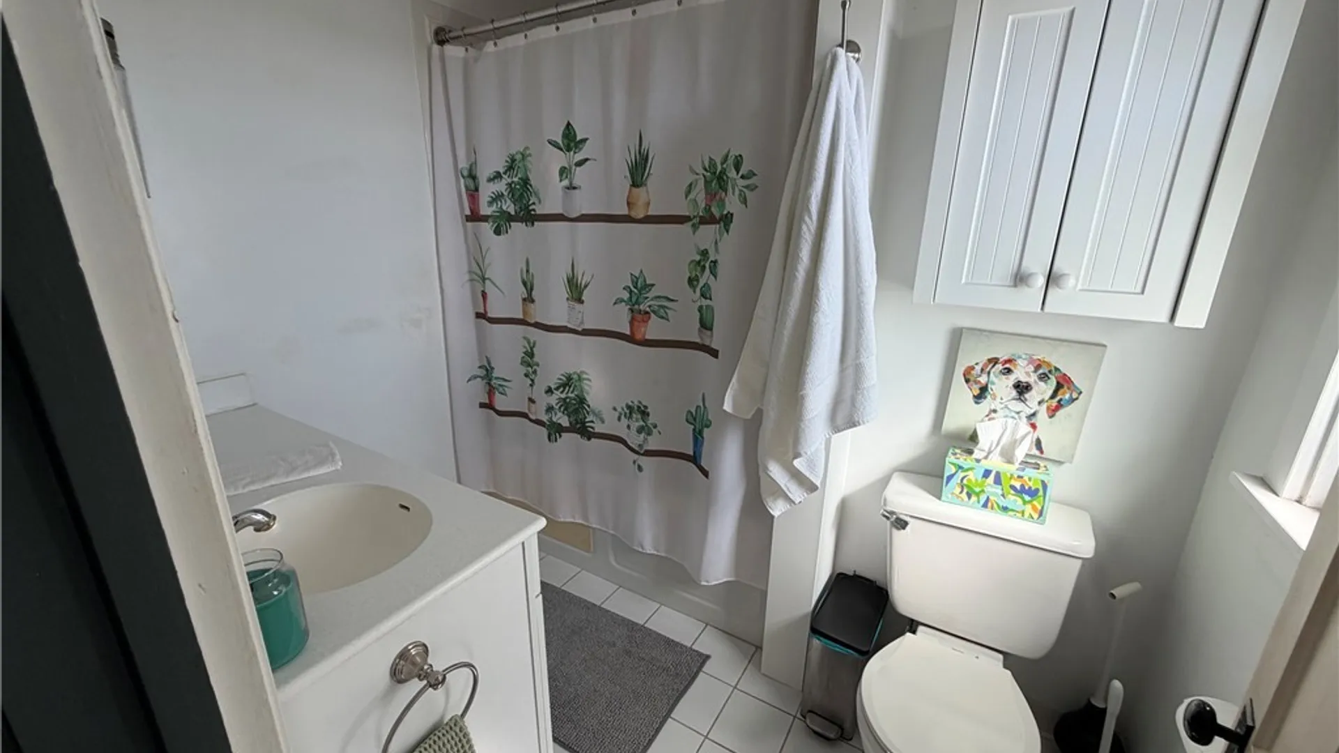 Property at 204 Brow Street, Salina, NY 13088 20