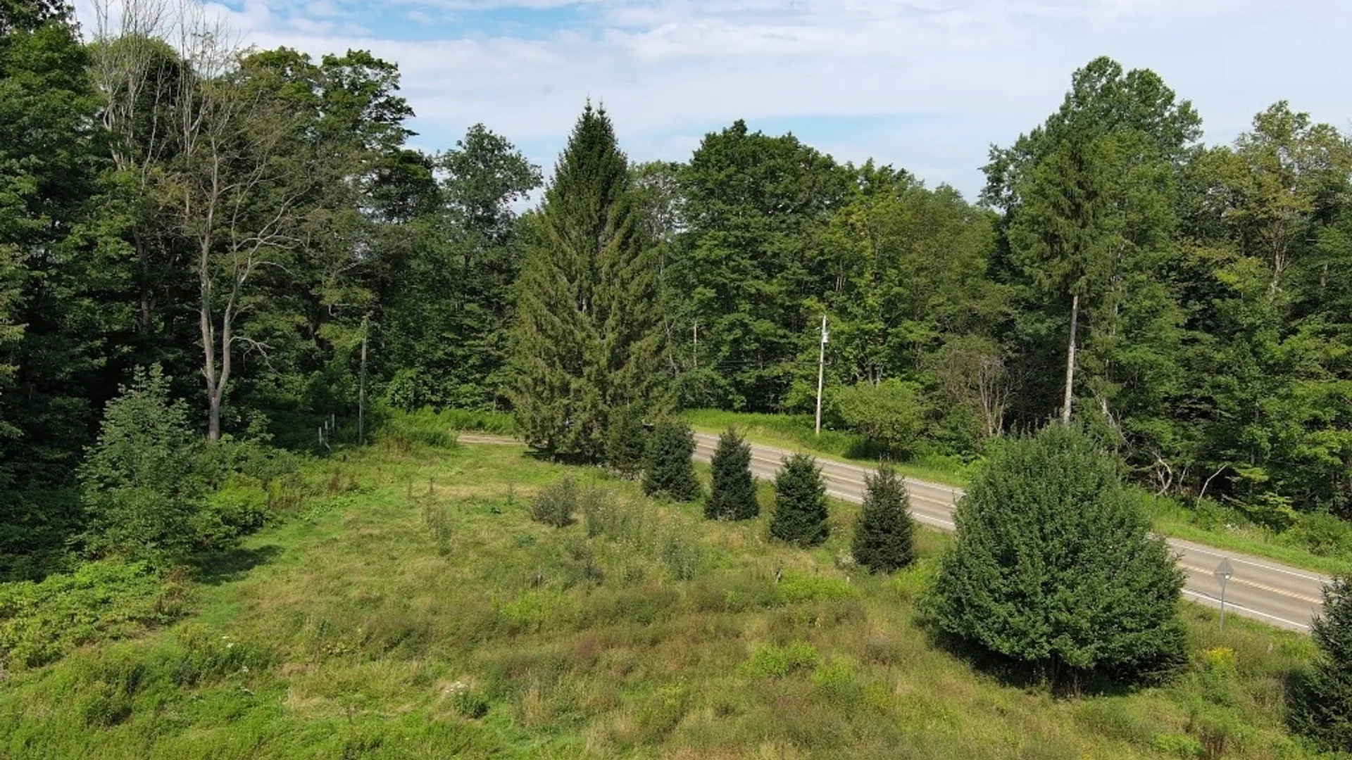 Property at 10259 Allen Road, Sardinia, NY 14055 35