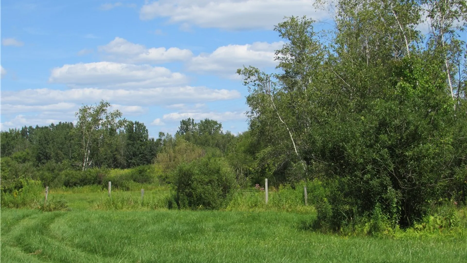 Property at 8550 Turin Road, Lee, NY 13440 23