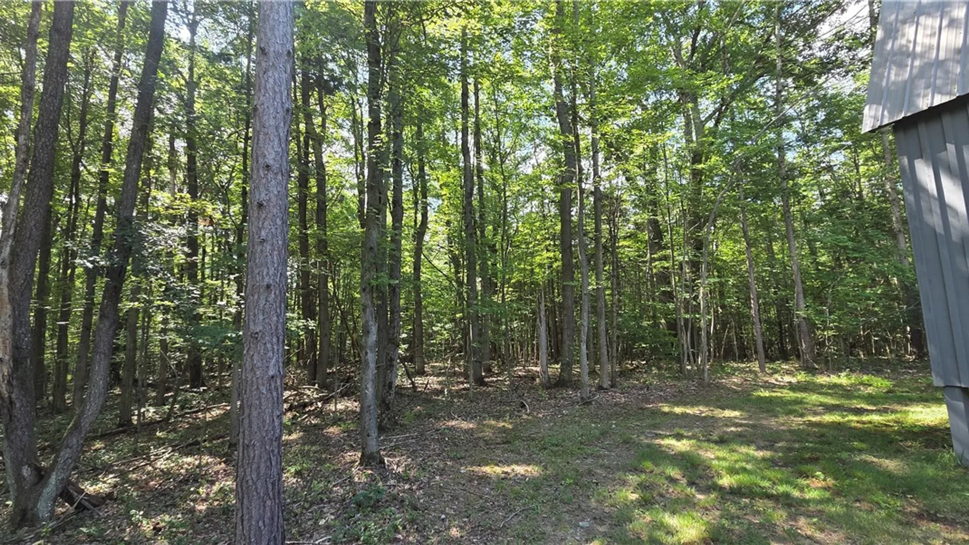 Property at 613 Randall Road, Orange, NY 14812 4