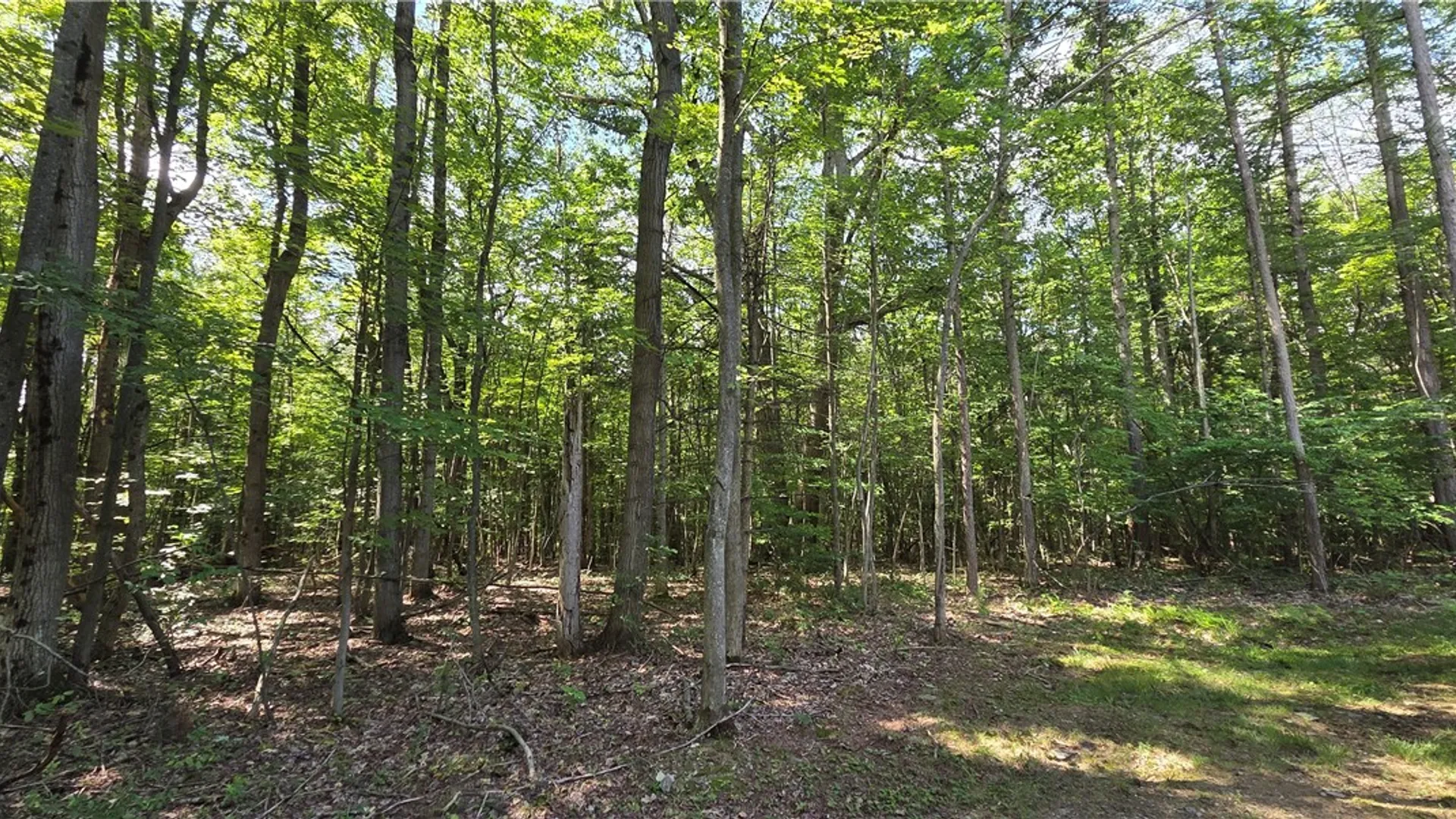 Property at 613 Randall Road, Orange, NY 14812 5