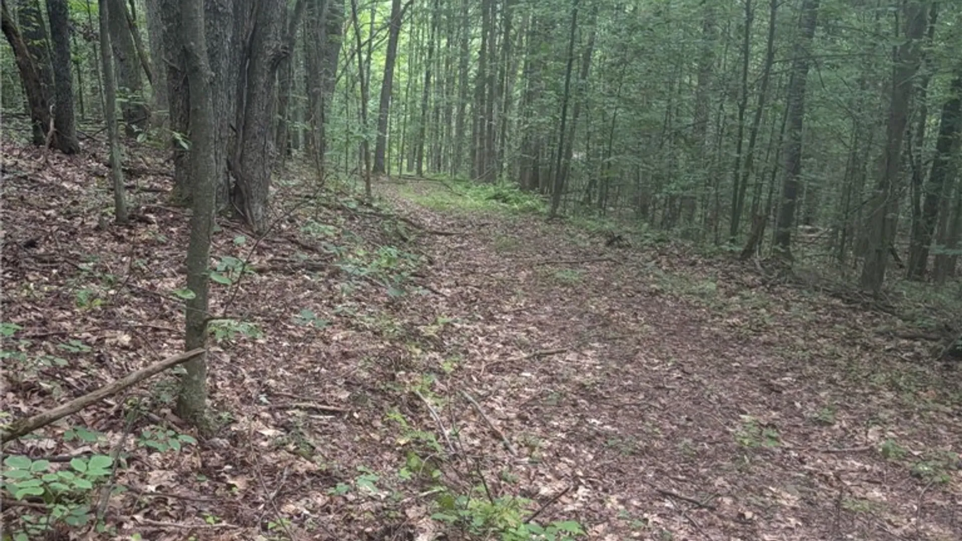 Property at 613 Randall Road, Orange, NY 14812 47