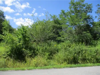 Property at 0 Daniels Road, Plymouth, NY 13844