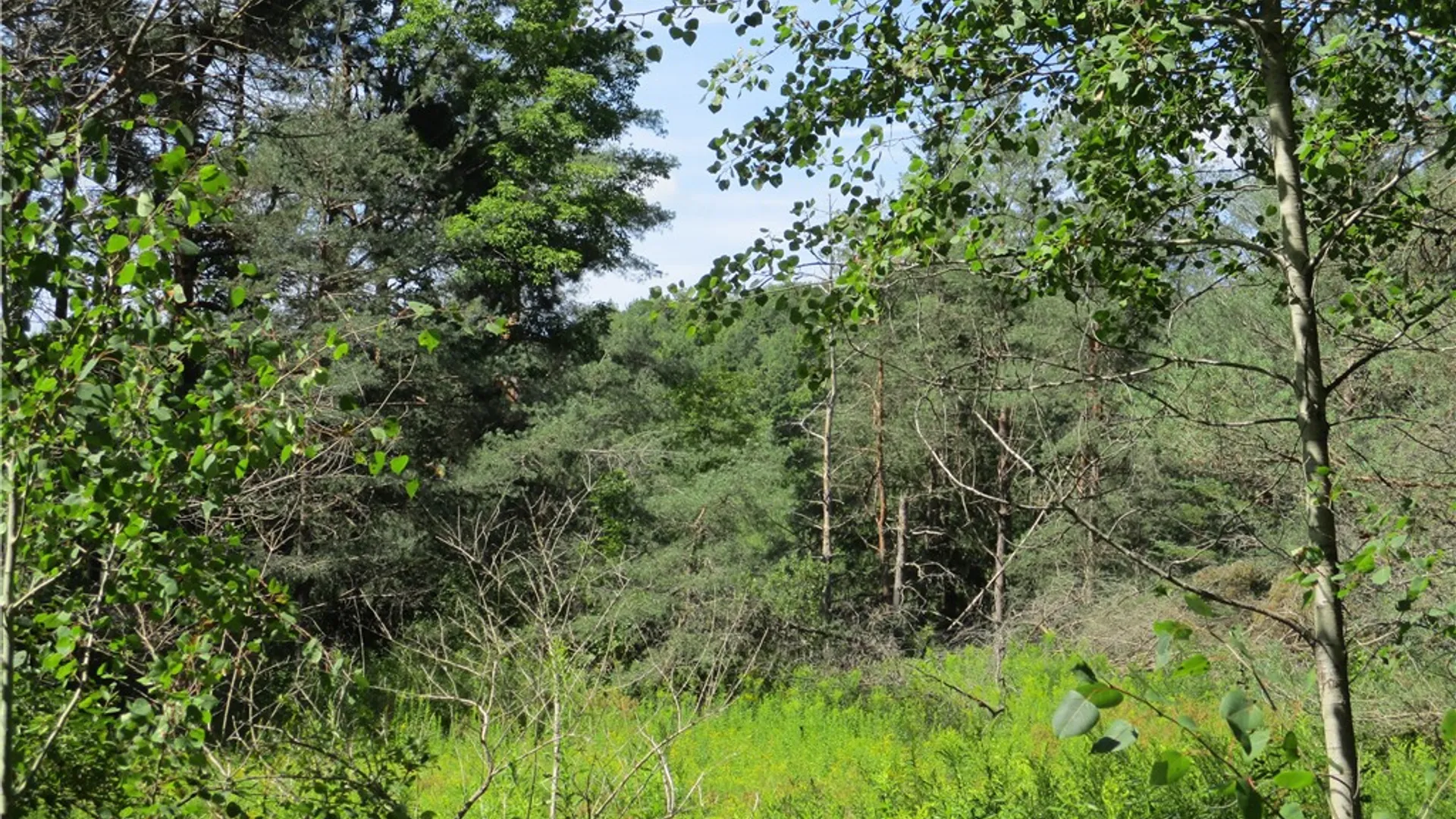 Property at Lot 1 State Route 80, Smyrna, NY 13464 4