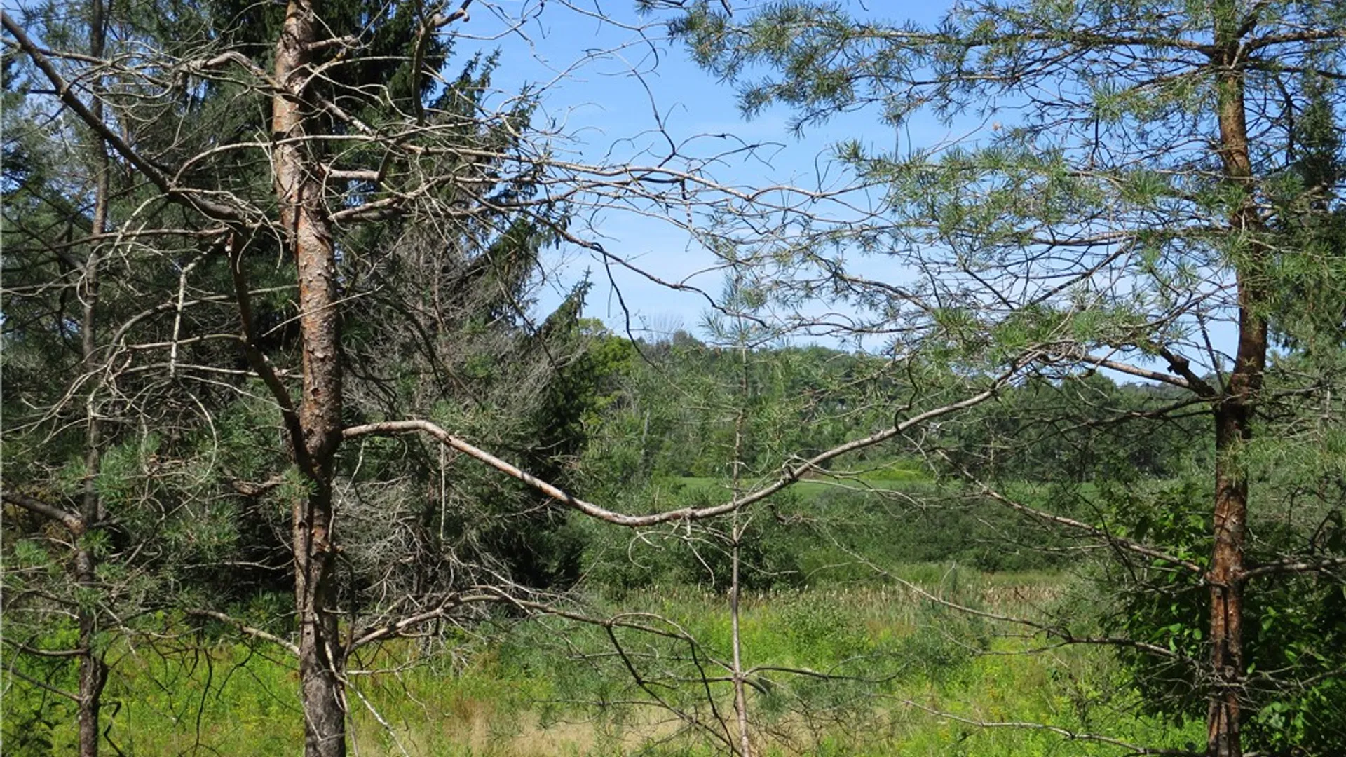 Property at Lot 1 State Route 80, Smyrna, NY 13464 5