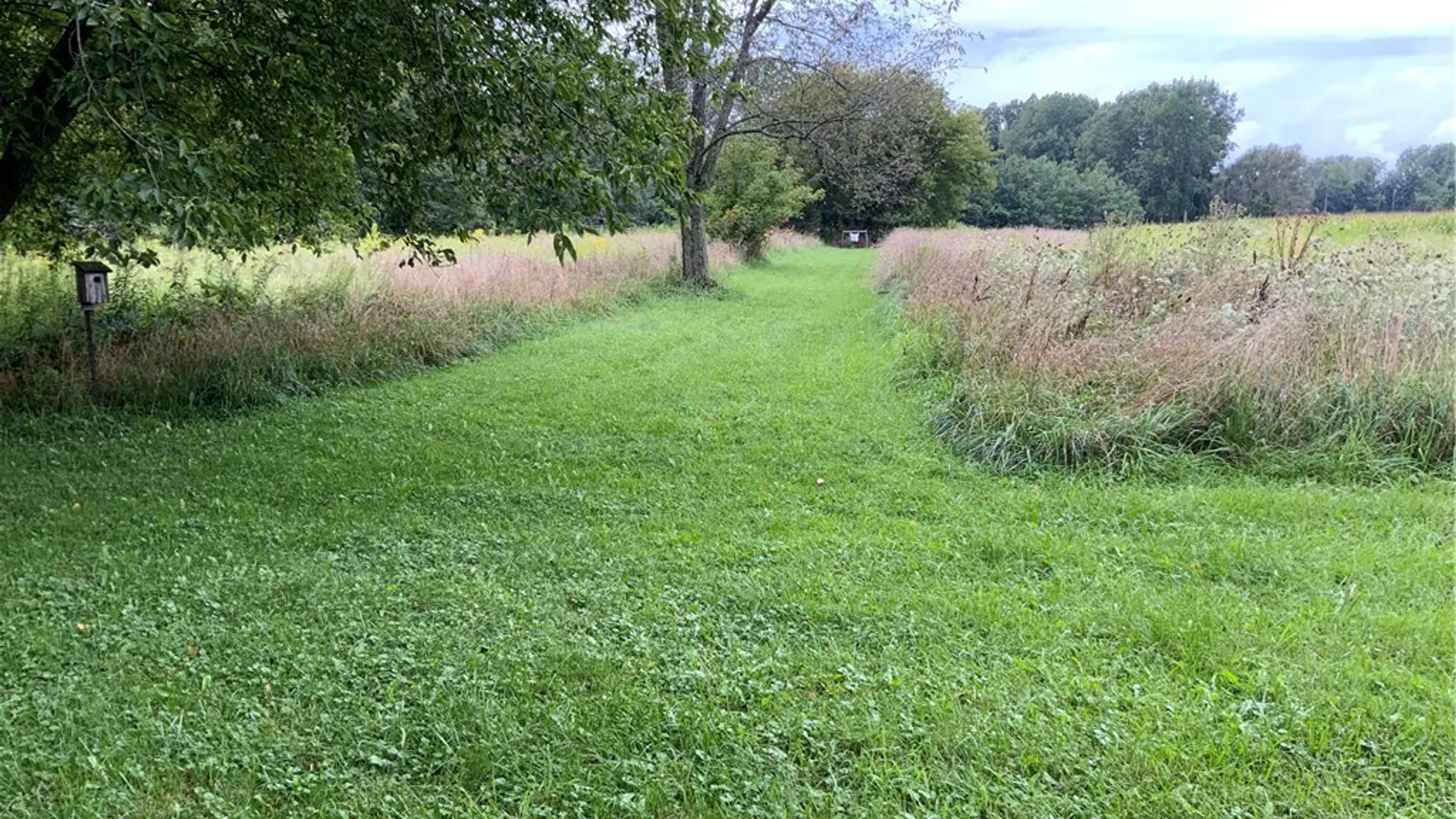 Property at 3518 Drum, Hartland, NY 14105 10