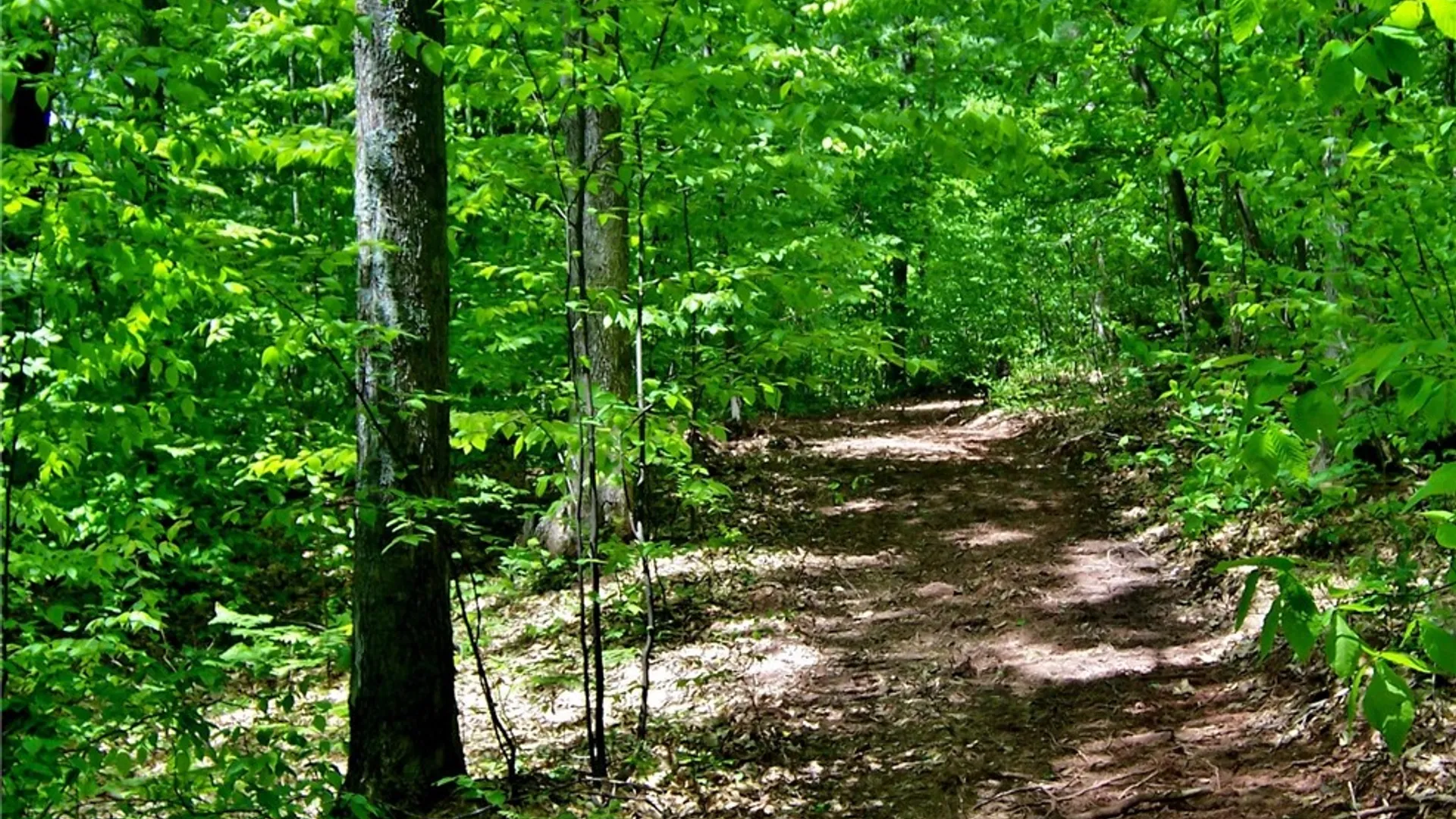 Property at County Highway 48, Oneonta, NY 13820 4