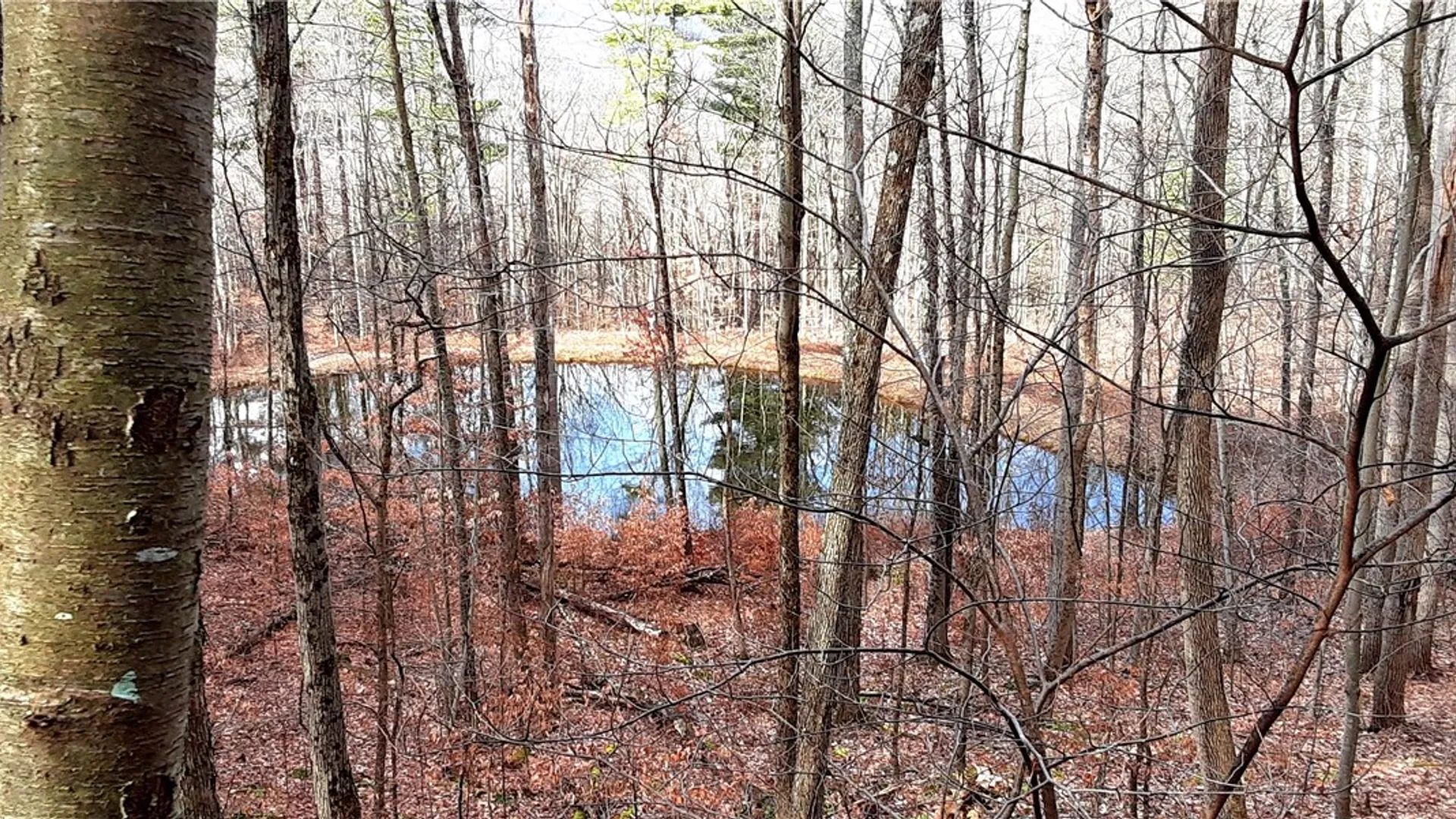 Property at County Highway 48, Oneonta, NY 13820 6
