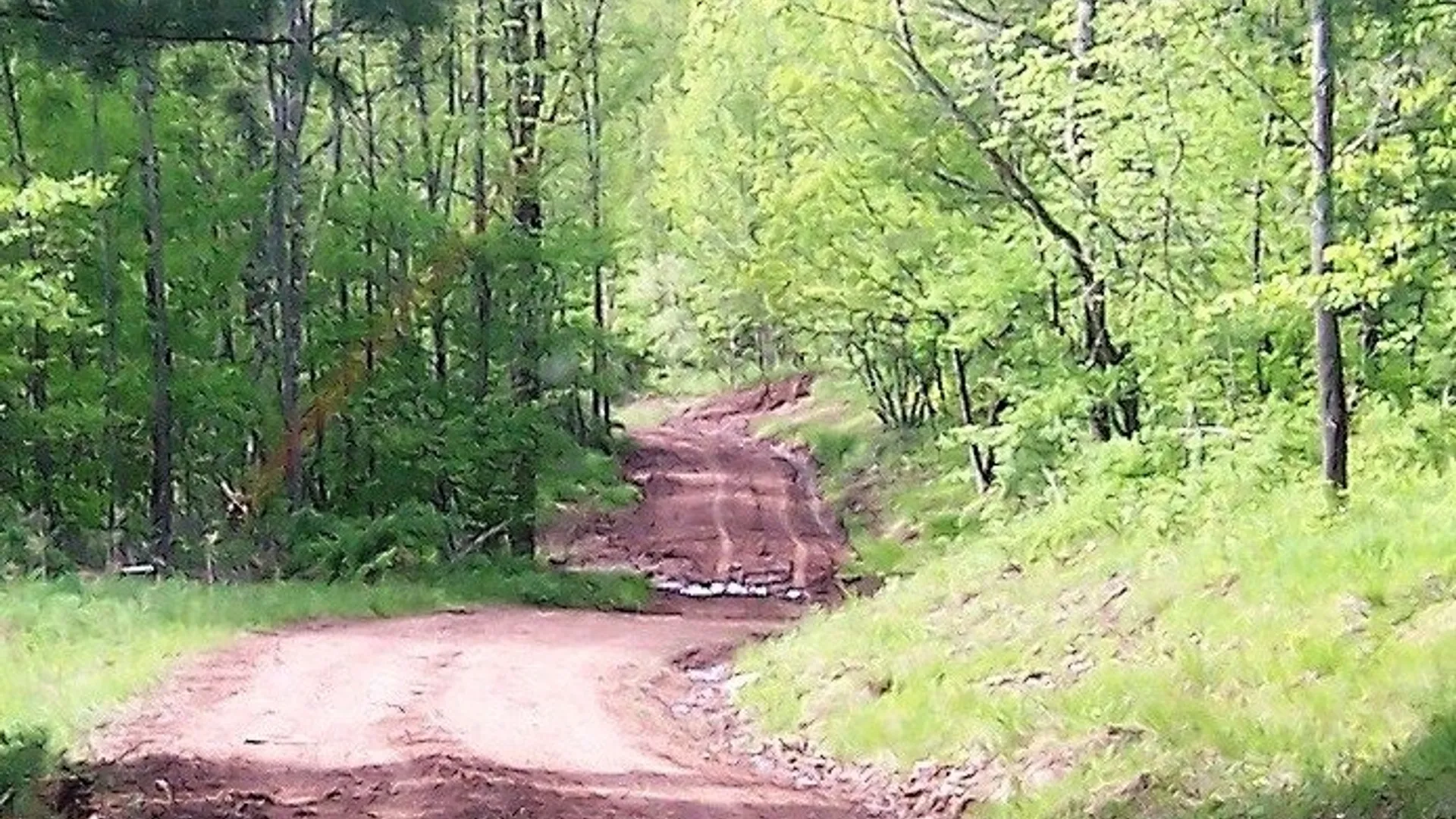 Property at County Highway 48, Oneonta, NY 13820 11
