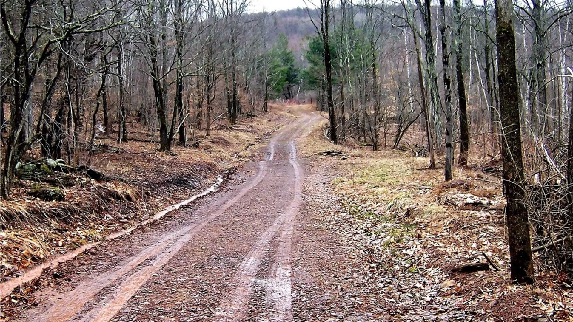 Property at County Highway 48, Oneonta, NY 13820 15