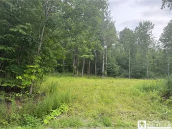 Property at Morgan Hollow Road, Hinsdale, NY 14706