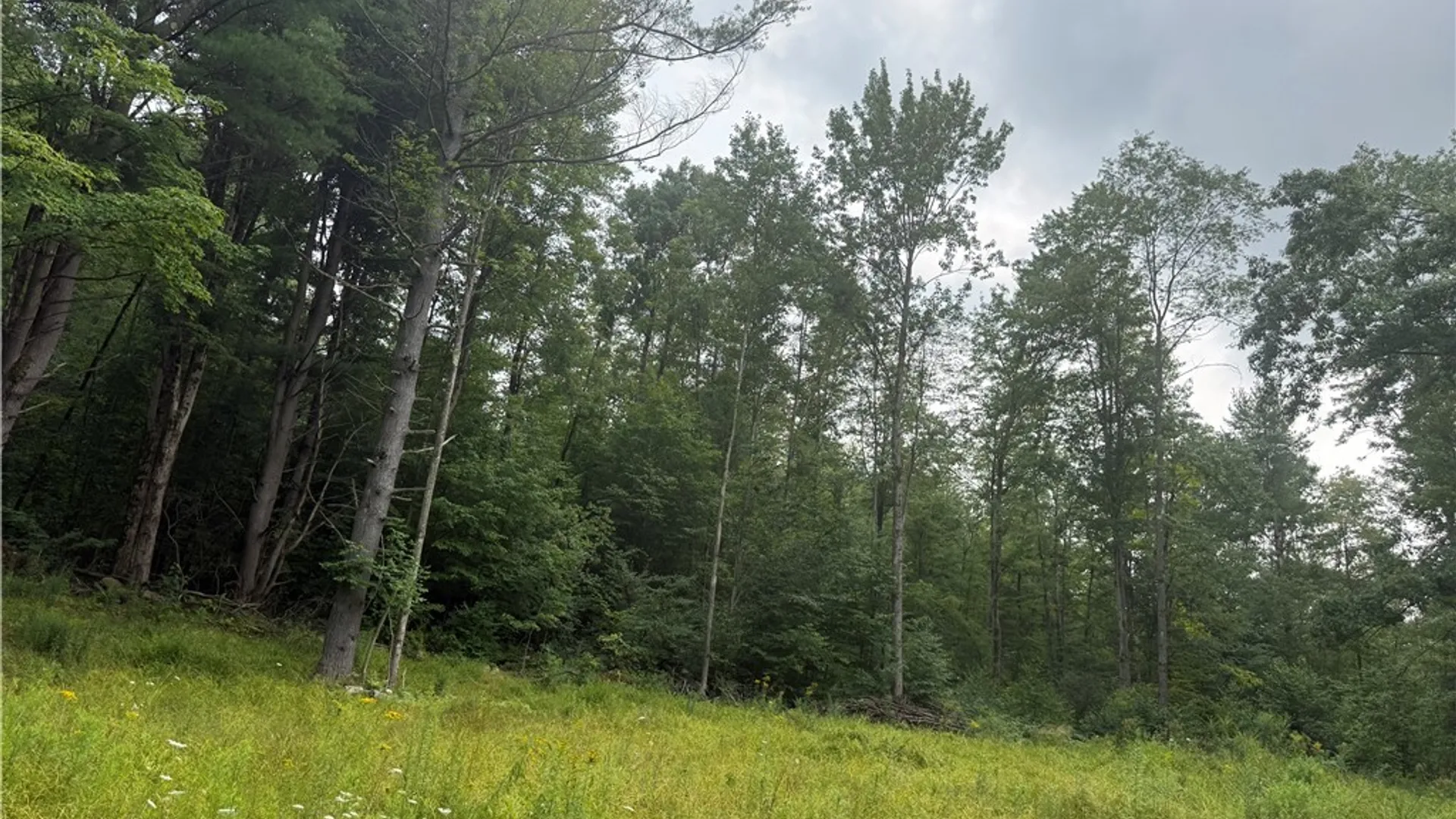 Property at Morgan Hollow Road, Hinsdale, NY 14706 6