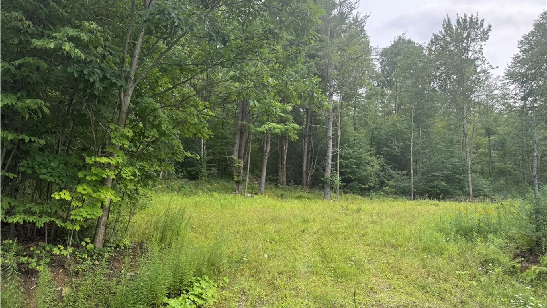 Property at Morgan Hollow Road, Hinsdale, NY 14706 7
