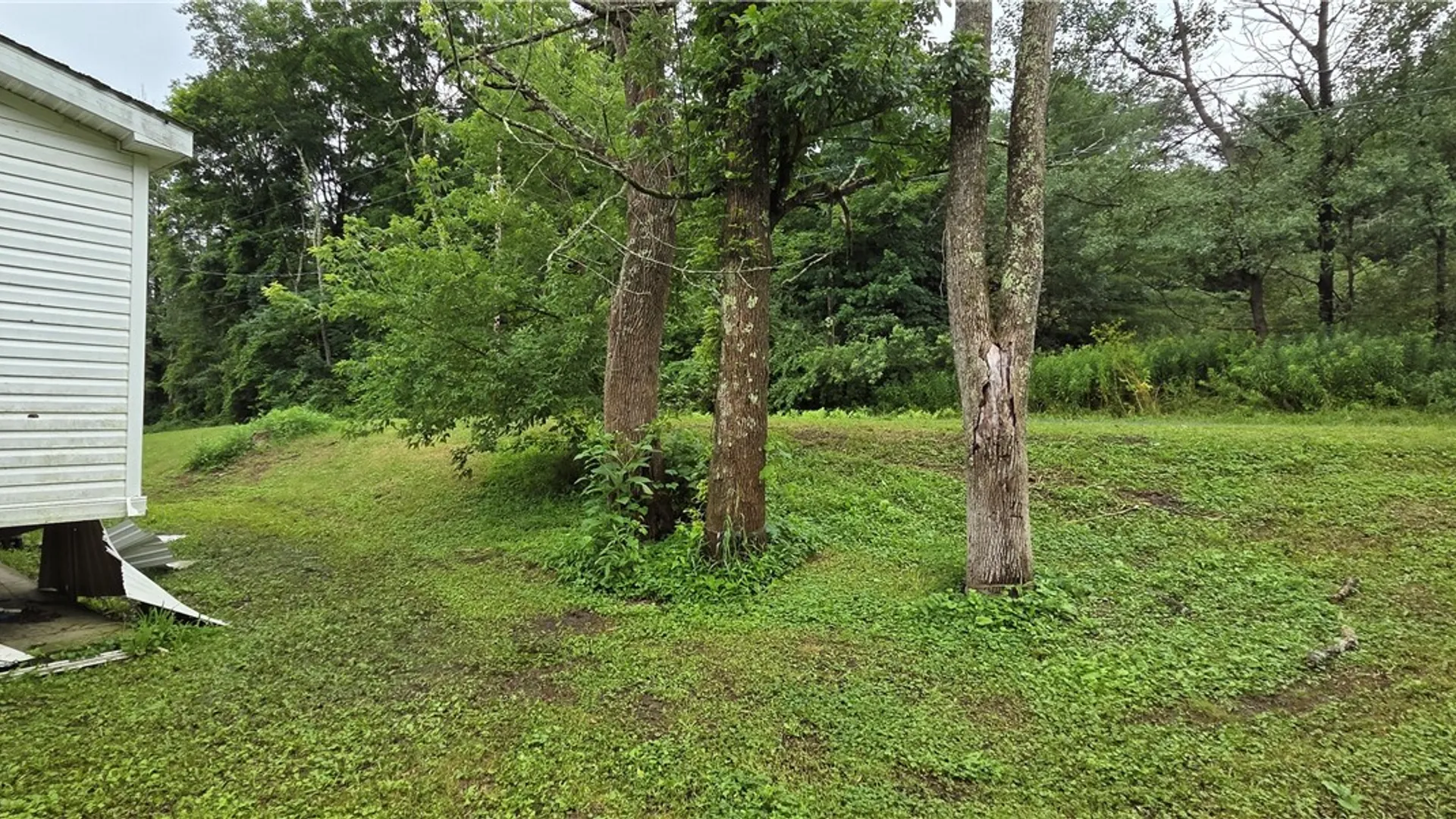 Property at 273 Back West Creek Road, Newark Valley, NY 13811 9