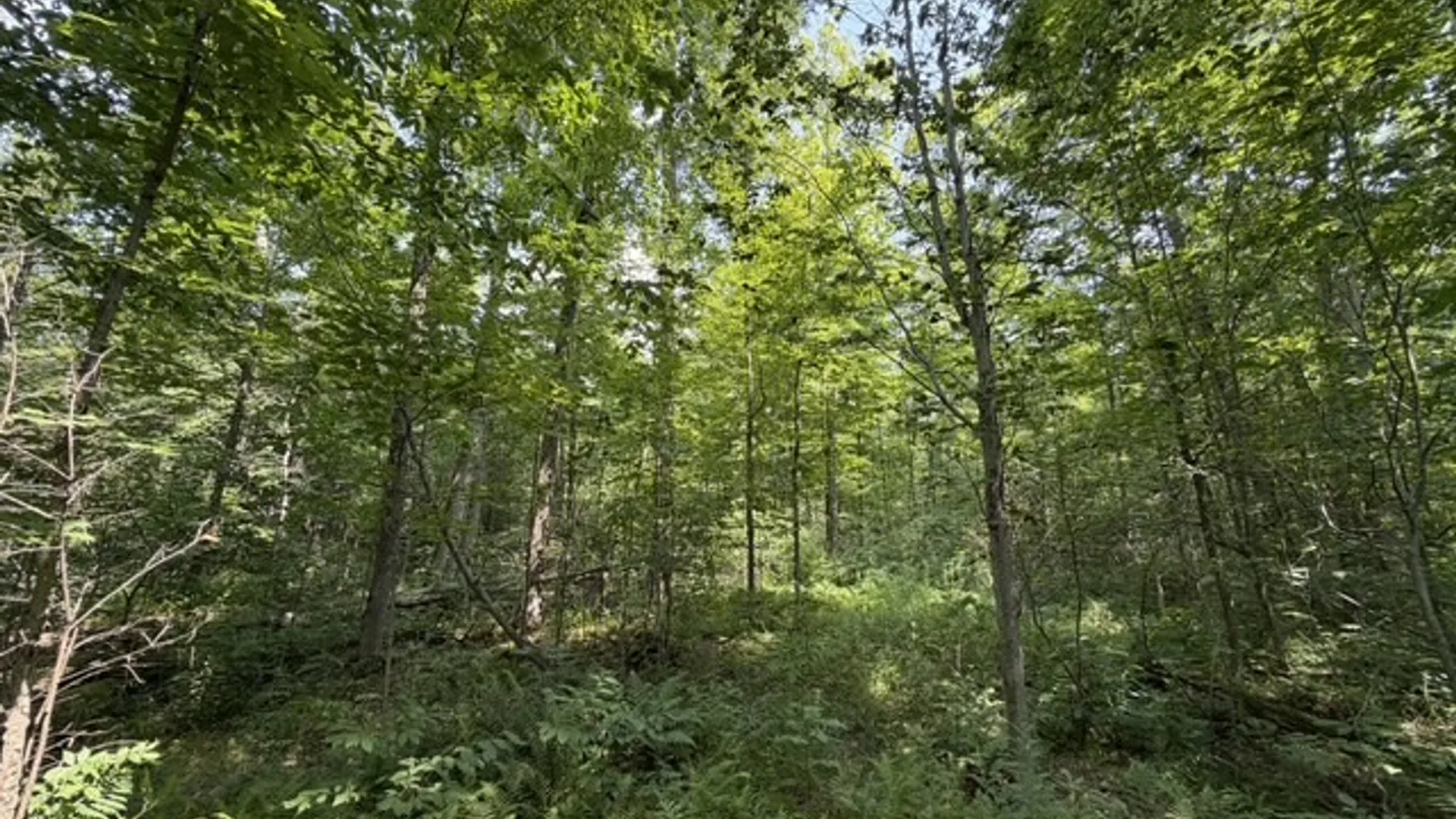 Property at 0 Hoag Road, Busti, NY 14710 25