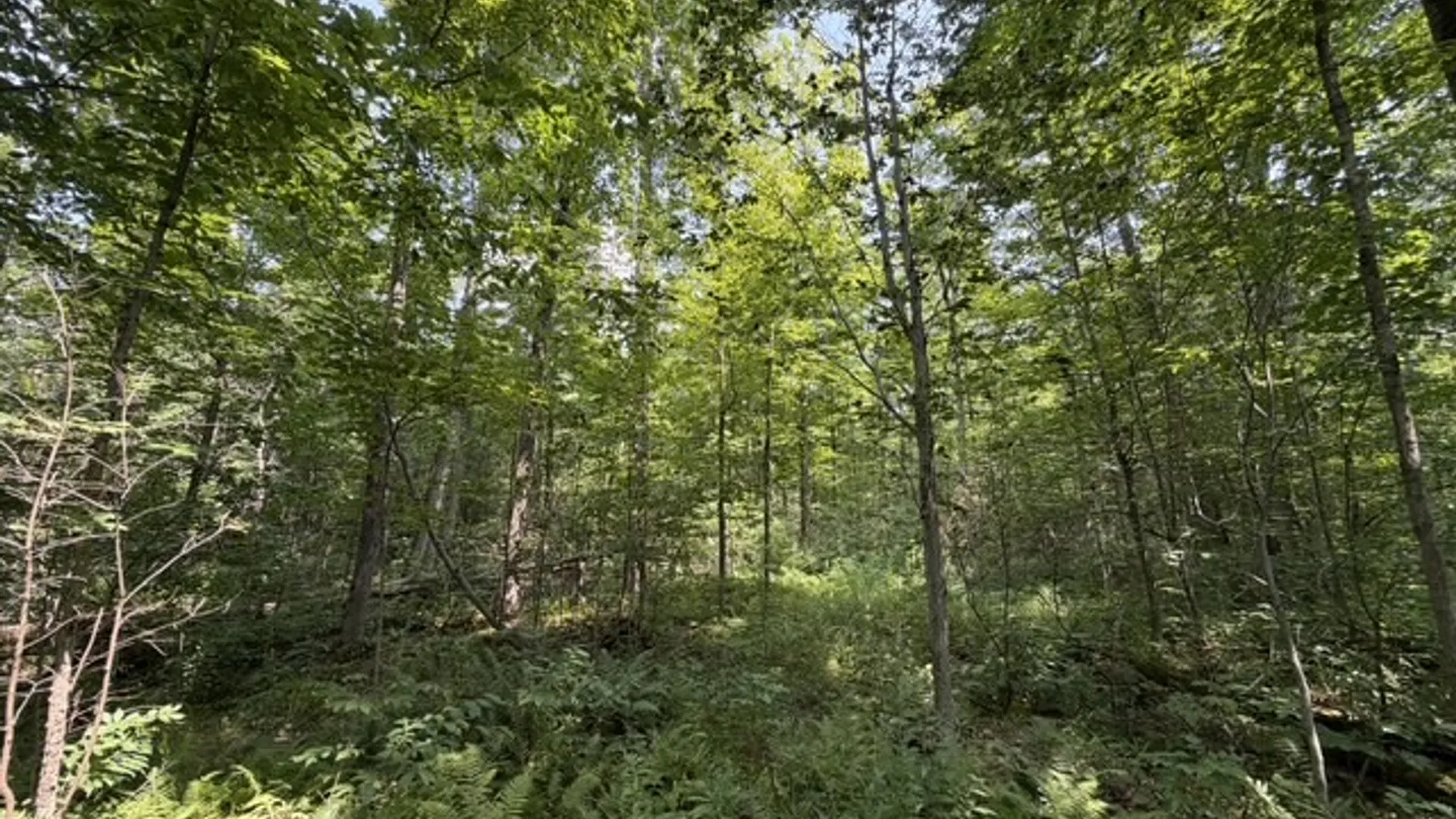 Property at 0 Hoag Road, Busti, NY 14710 26
