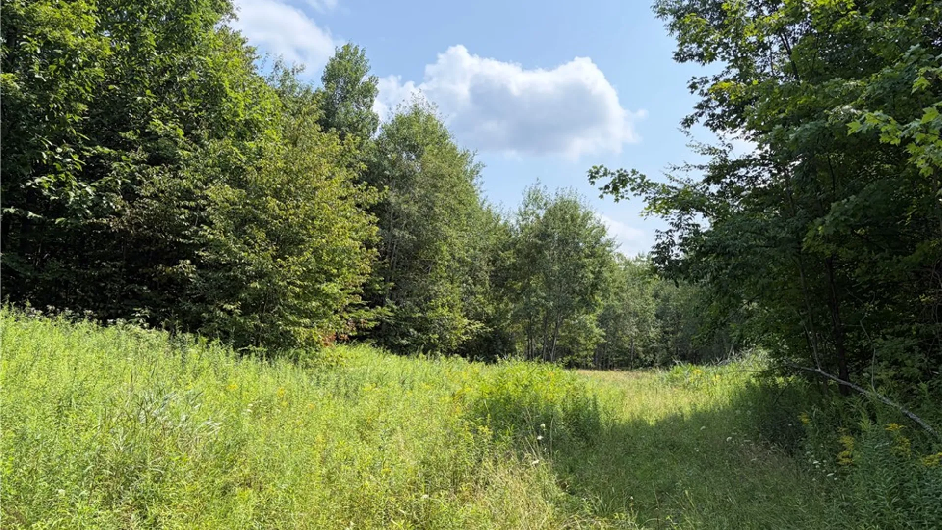 Property at 0 Hoag Road, Busti, NY 14710 4