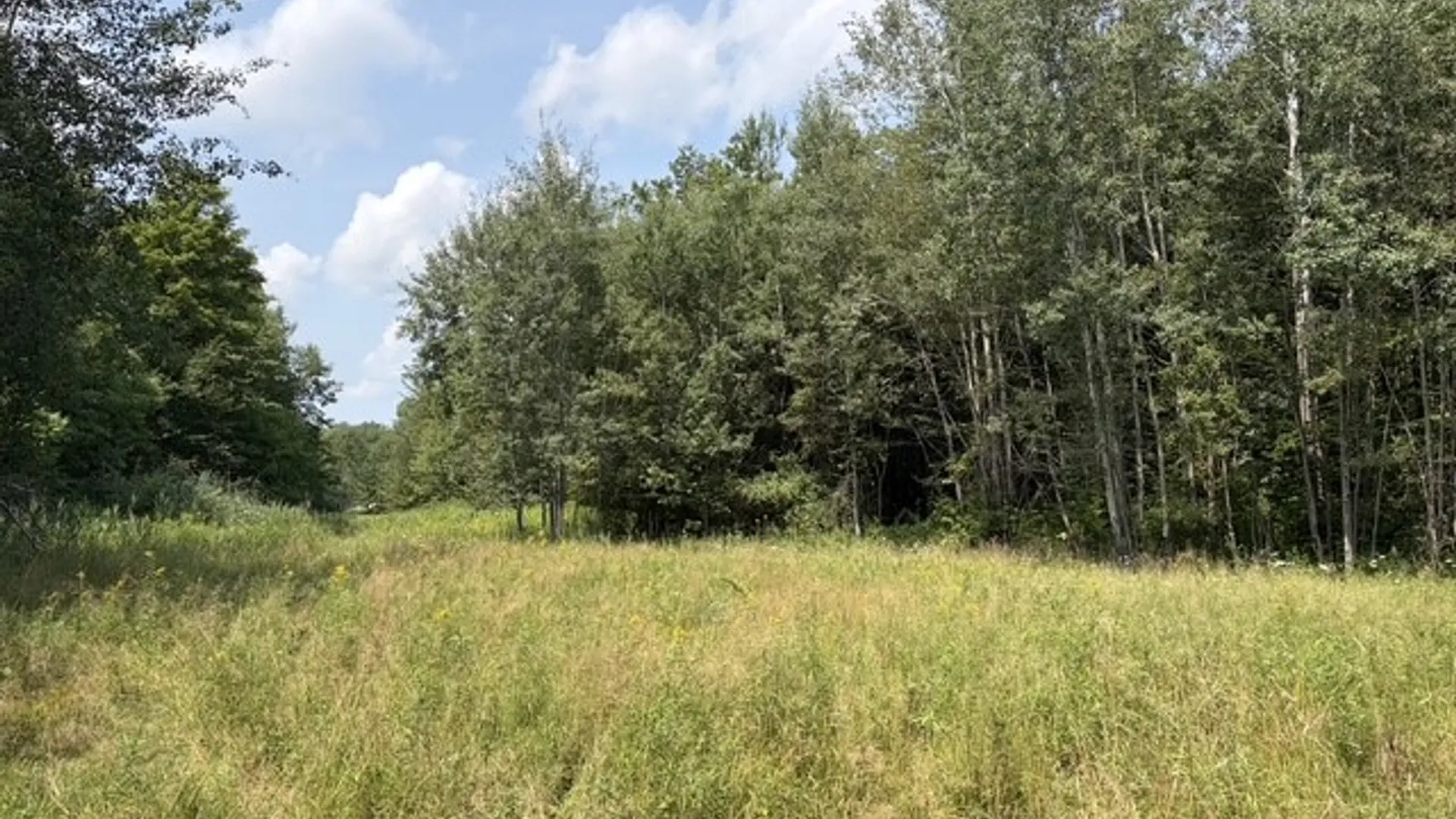 Property at 0 Hoag Road, Busti, NY 14710 5