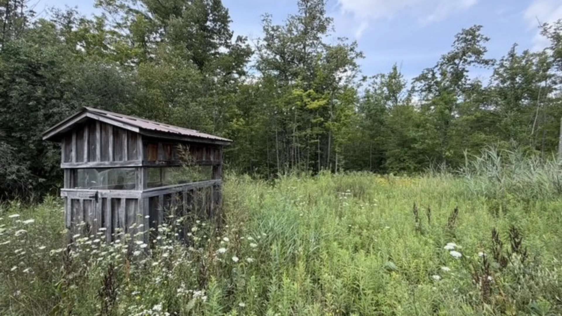 Property at 0 Hoag Road, Busti, NY 14710 7