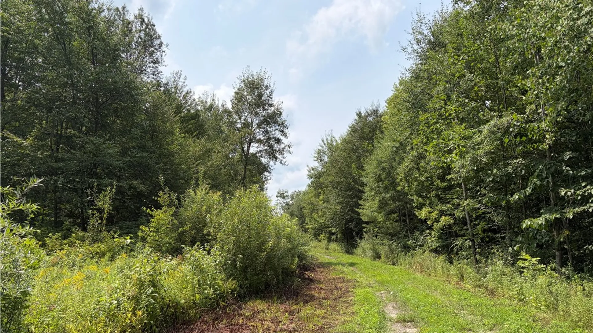 Property at 0 Hoag Road, Busti, NY 14710 10