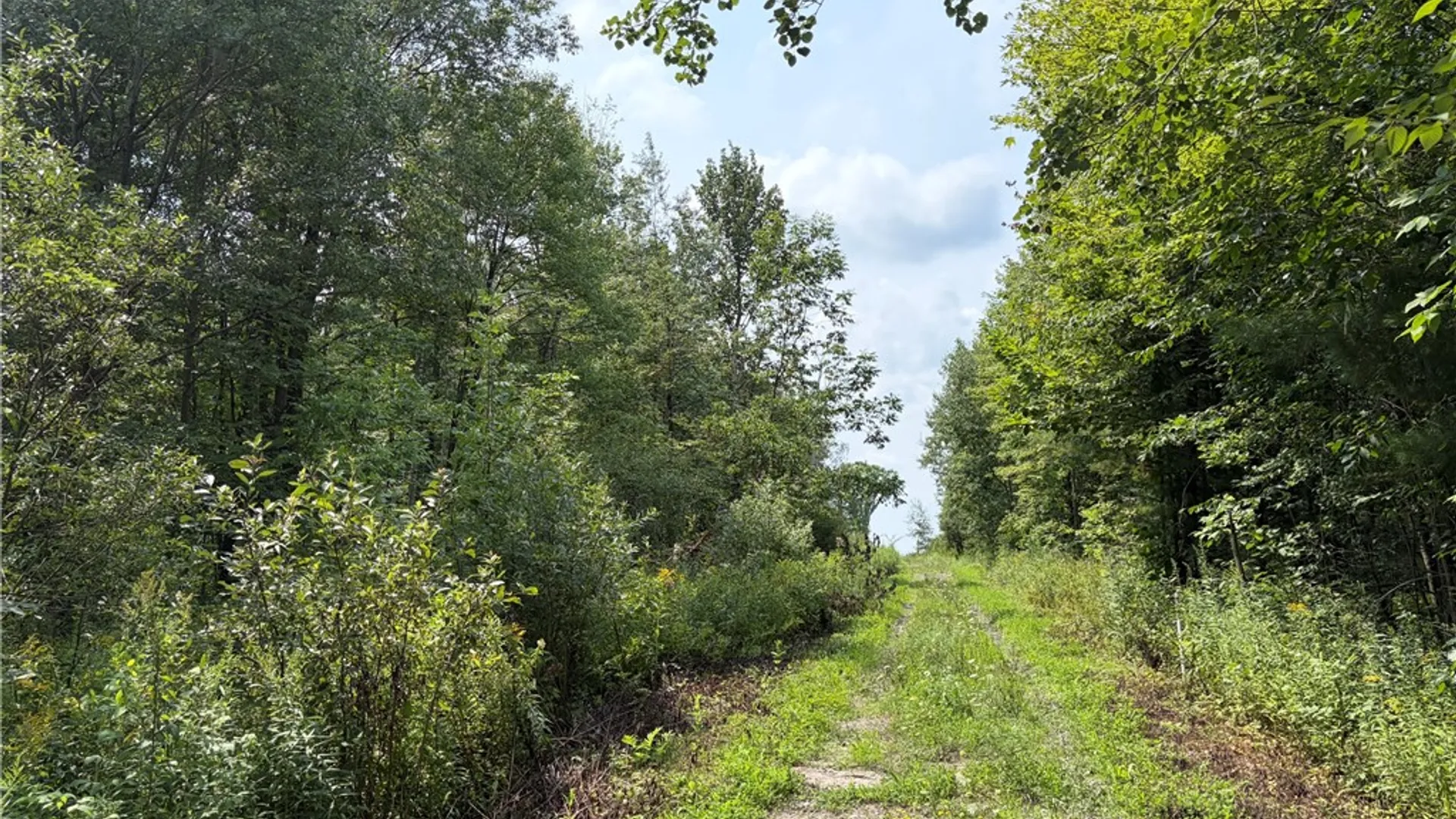 Property at 0 Hoag Road, Busti, NY 14710 11