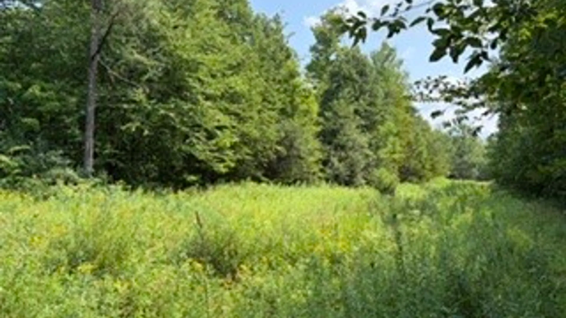 Property at 0 Hoag Road, Busti, NY 14710 12