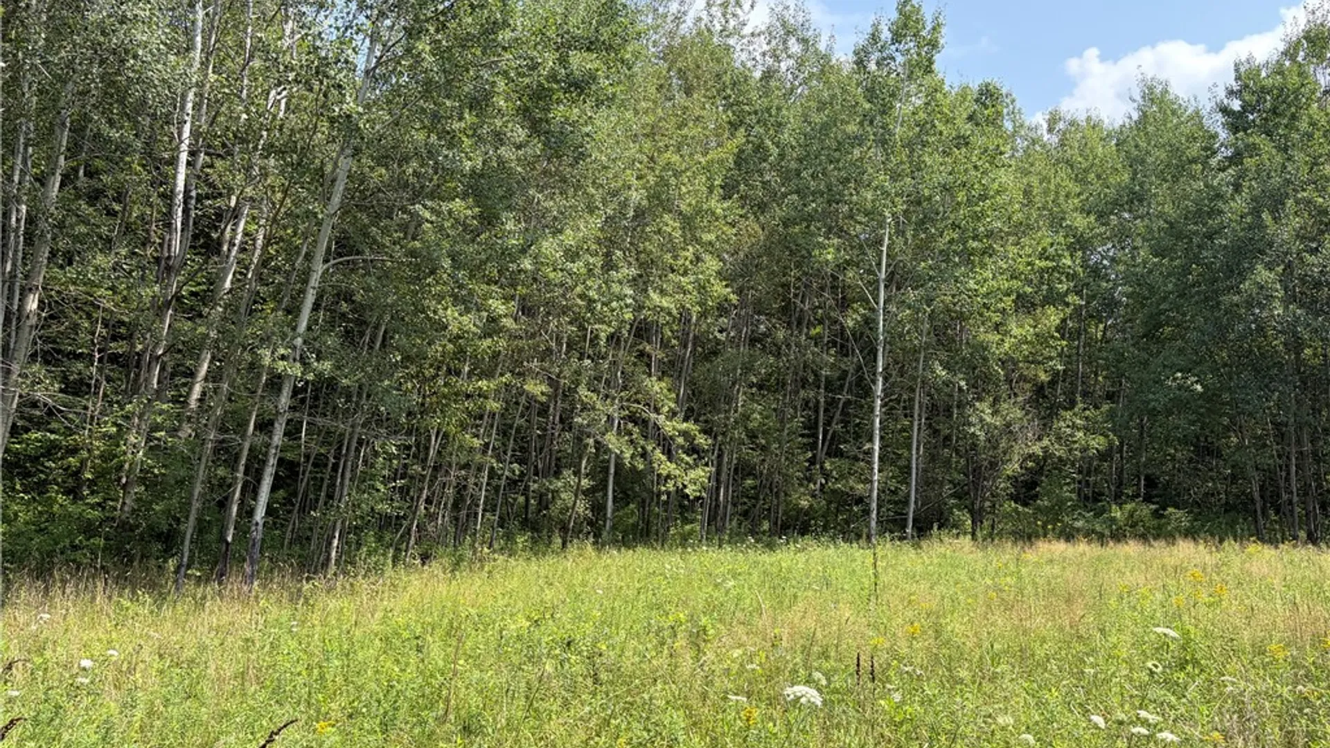 Property at 0 Hoag Road, Busti, NY 14710 14