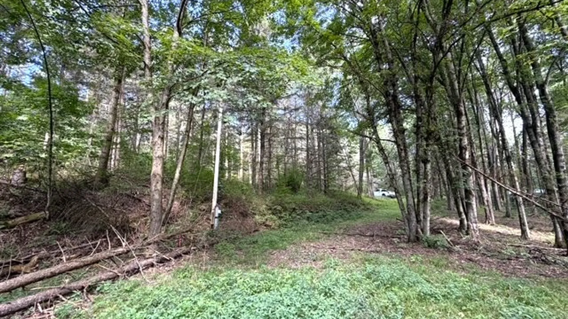 Property at 2 Dutton, Clarksville, NY 14727 9