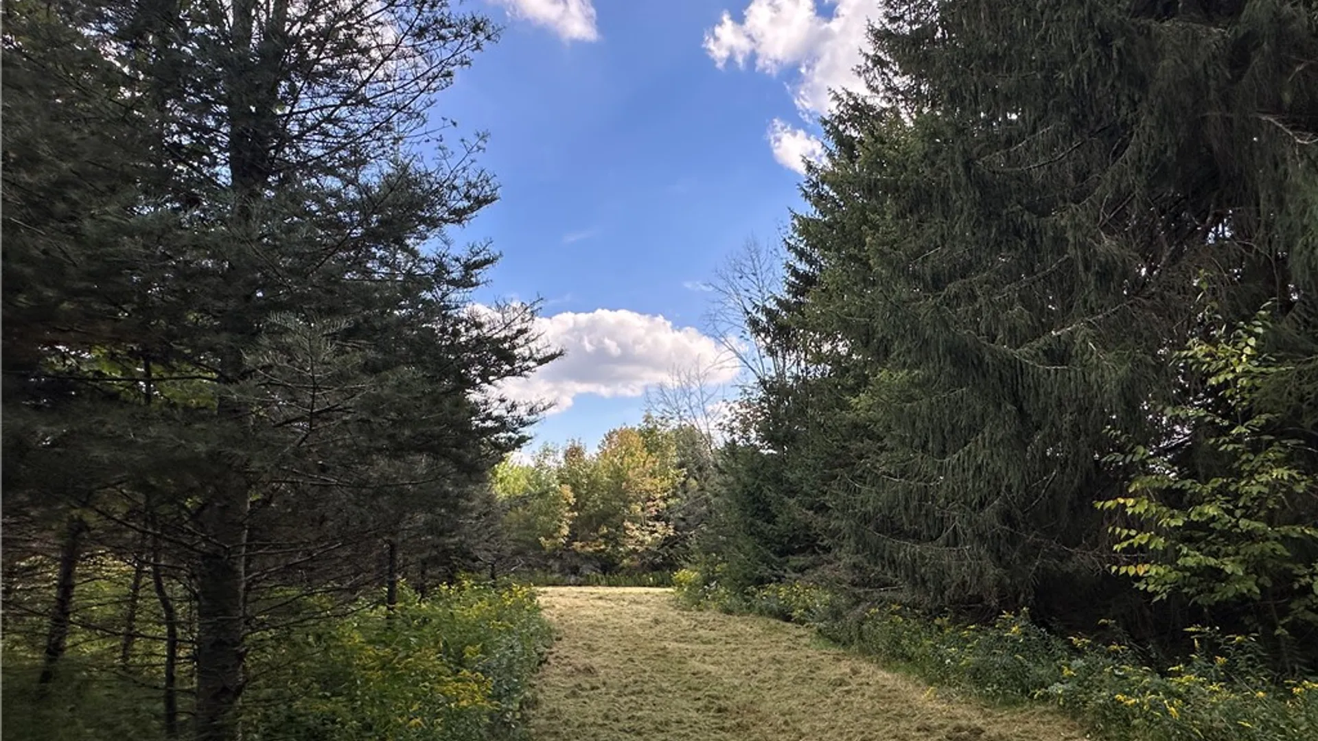 Property at Lot 7 McAndrews Rd, Alfred, NY 14806 8