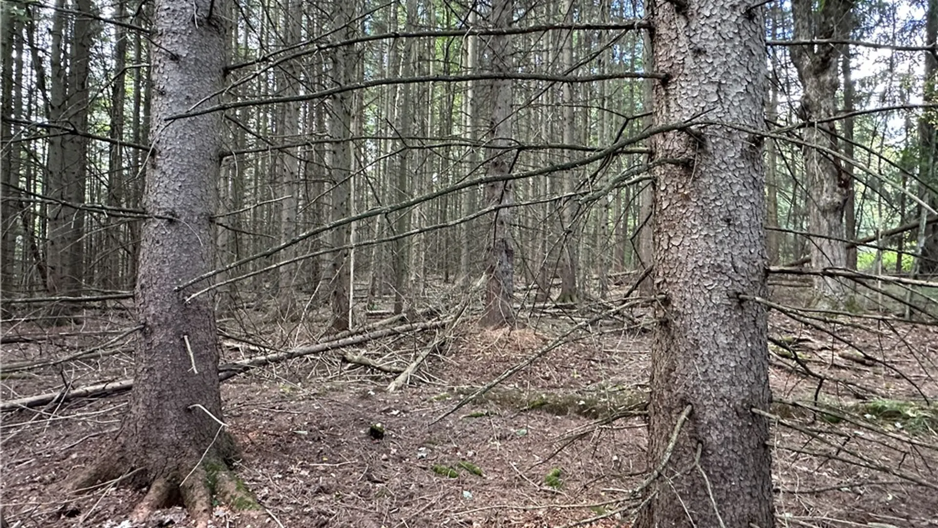 Property at Lot 7 McAndrews Rd, Alfred, NY 14806 11