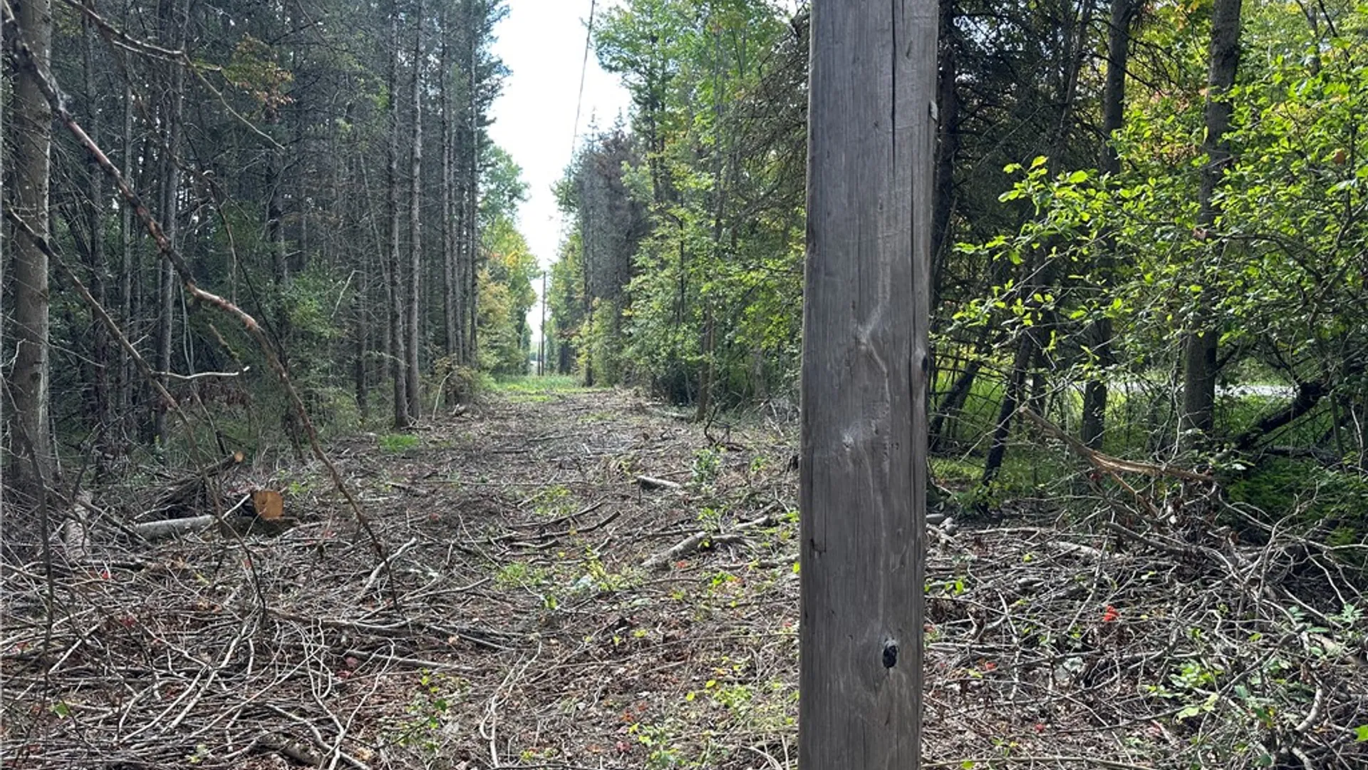 Property at Lot 7 McAndrews Rd, Alfred, NY 14806 18