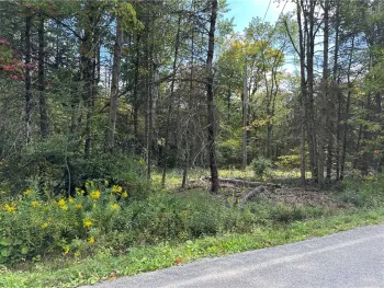 Property at Lot 7 McAndrews Rd, Alfred, NY 14806